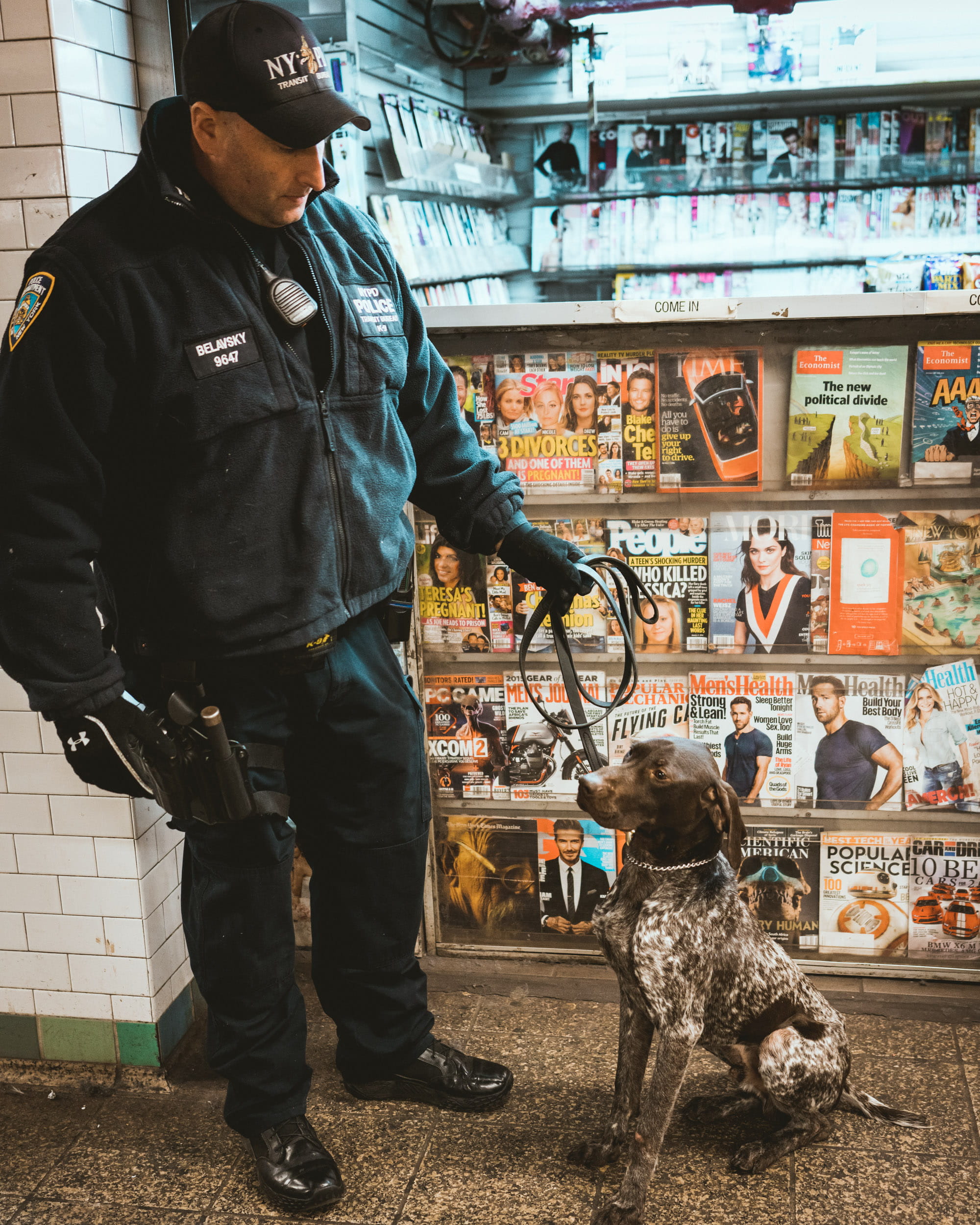 leisure activity, people, 42nd street, standing, new york city, 1080P, males, domestic, new york, full length, ny, street, casual clothing, good boy, pets, Phone HD Wallpaper