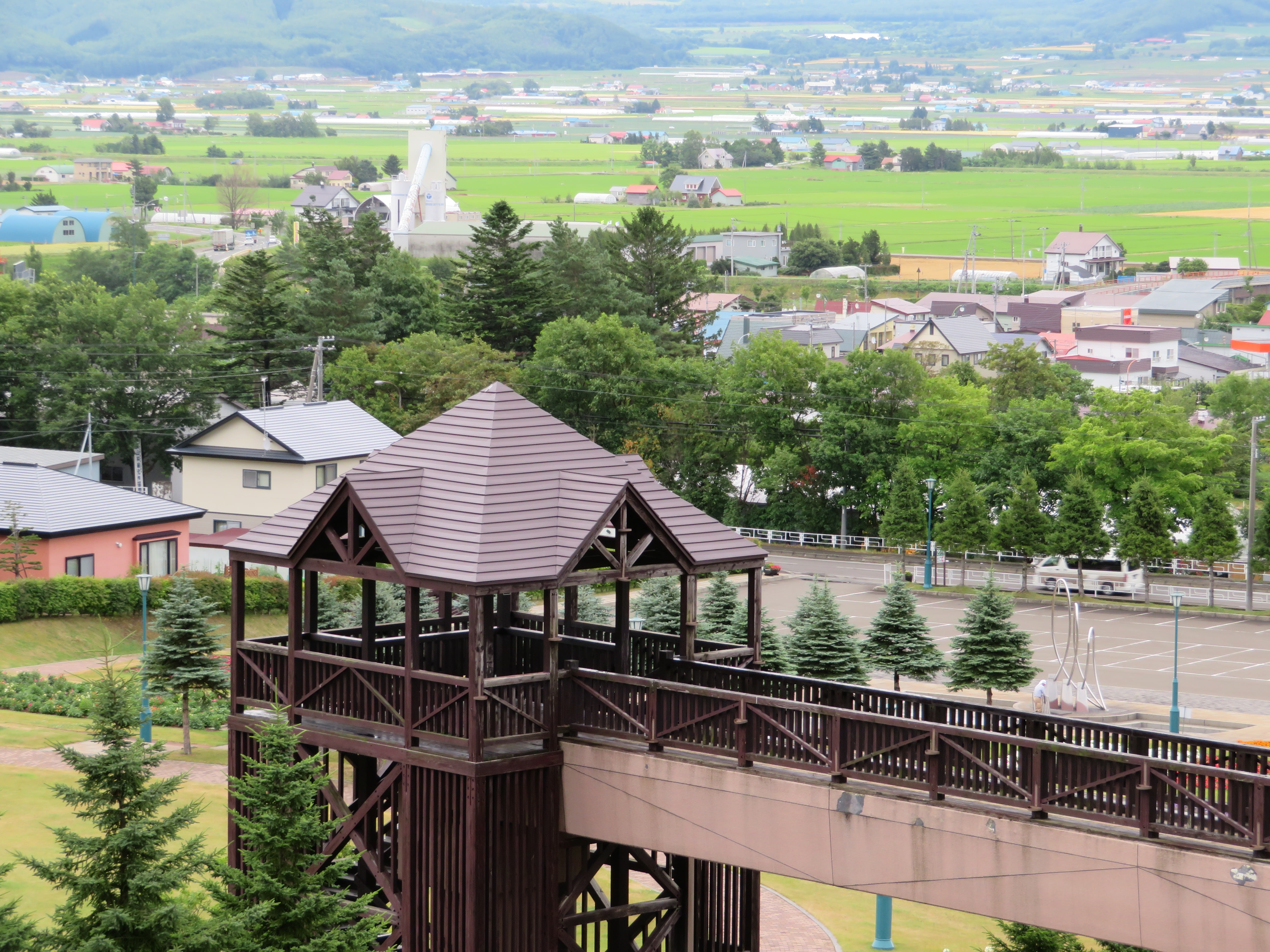 plant, roof, growth, built structure, green color, building exterior, architecture, sky, house, day, water, sapporo, nature, tree, outdoors, no people, HD Wallpaper