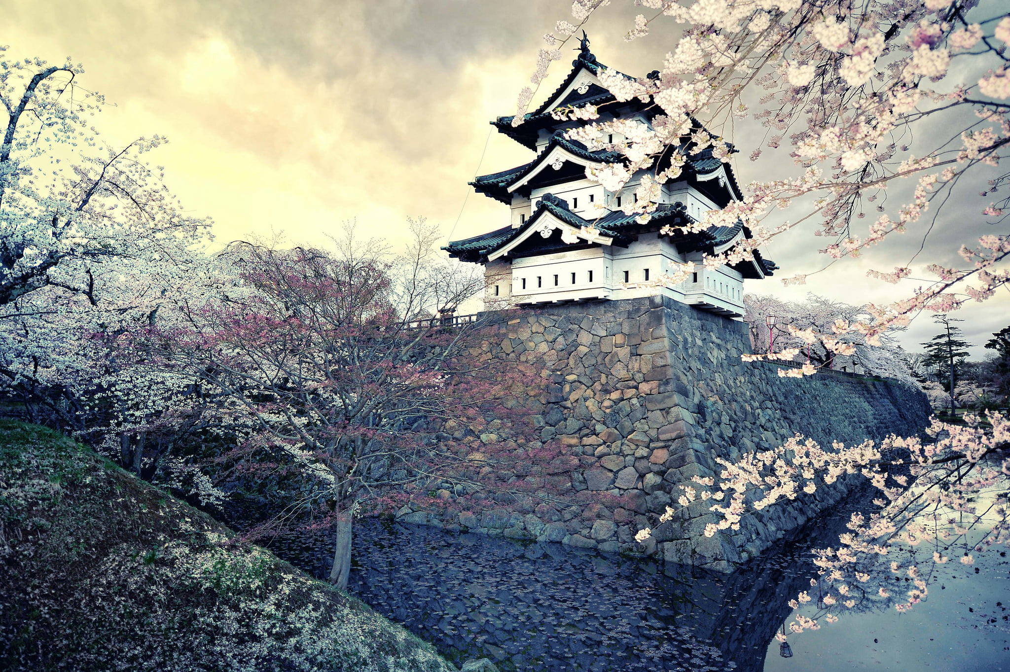 stone wall, tower, old, asia, cultures, ancient, sky, tourism, religion, Sakura, spring, building, 1080P, low angle view, nature, outdoors, wall, tree, HD Wallpaper
