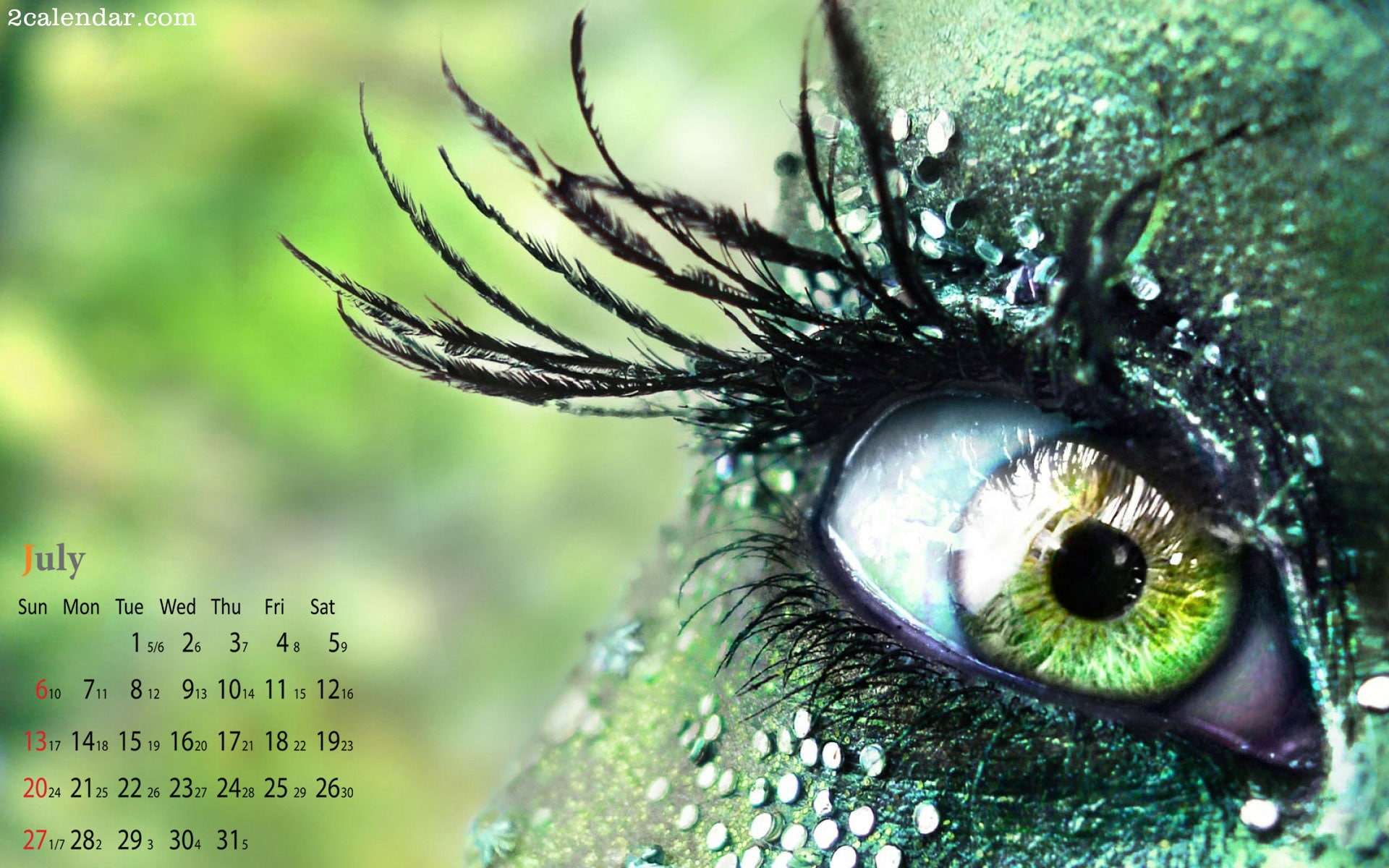  july, beauty in nature, nature, fantastic, calendar, close-up, green color, hd, plant, eyeball, eye, macro, eyelash, outdoors, sensory perception, HD Wallpaper