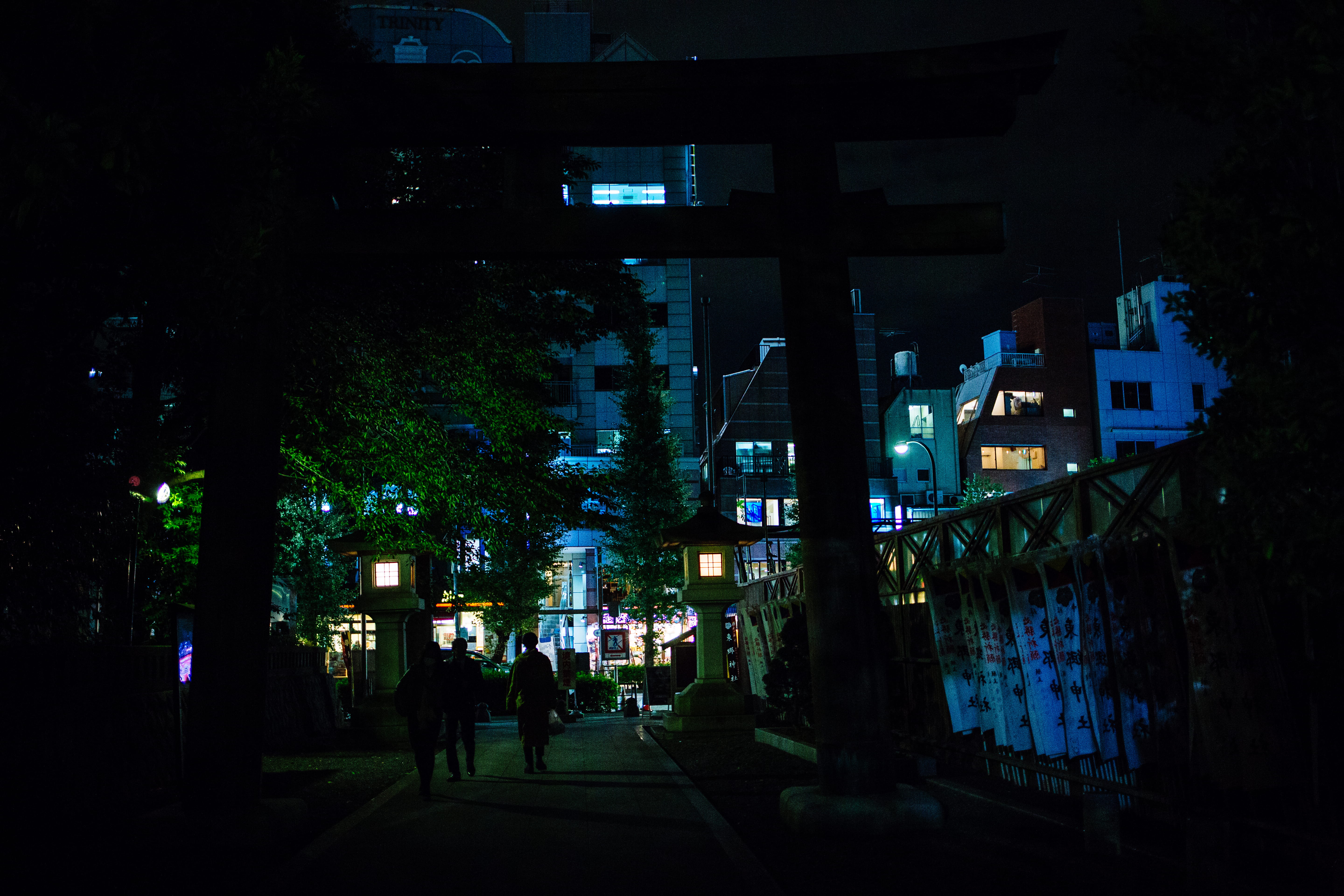 residential district, alley, japan, architecture, city life, nature, togo shrine, cityscape, illuminated, building exterior, walking, temple, plant, lighting equipment, HD Wallpaper