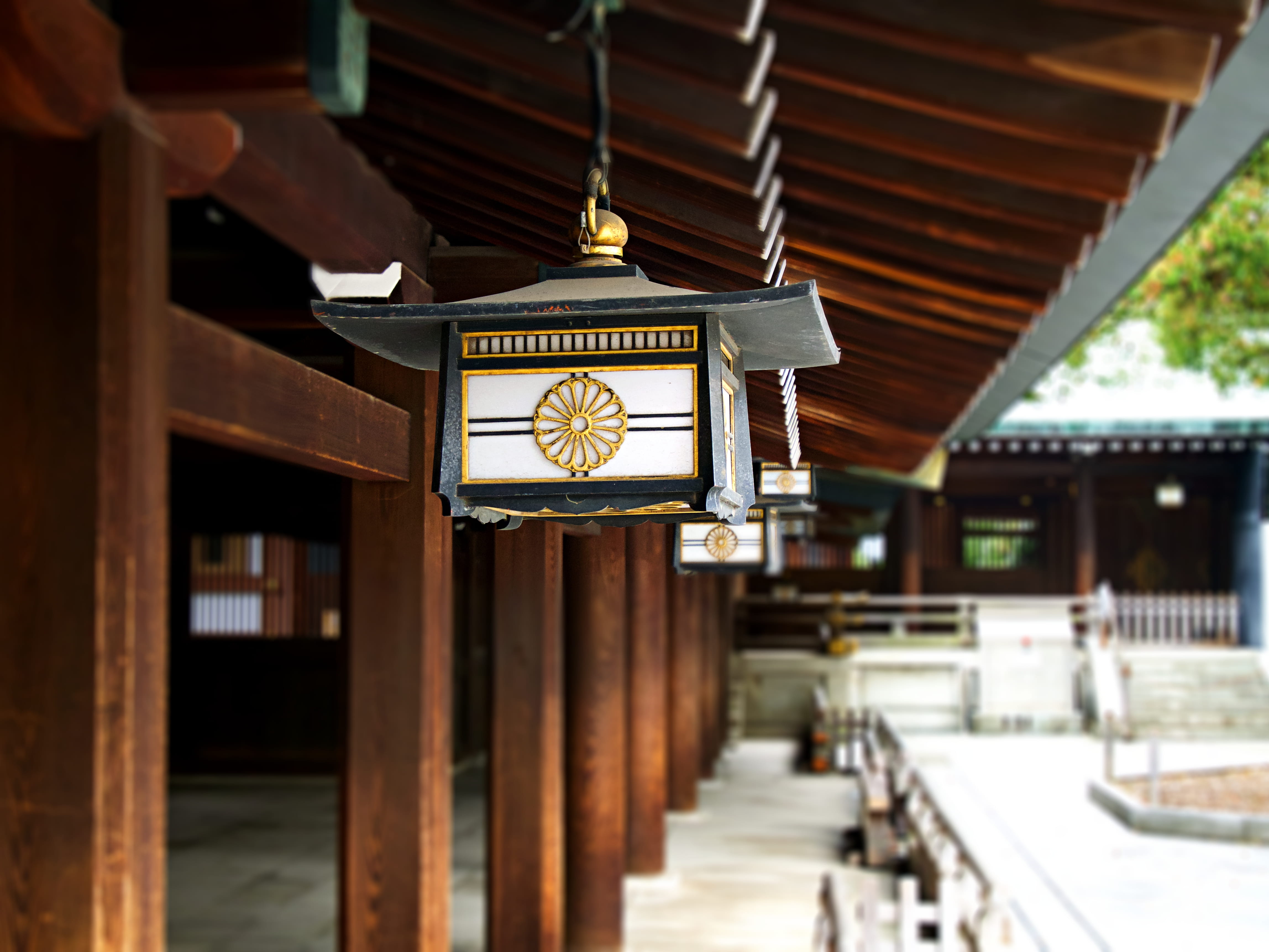 shibuya-ku, no people, wood - material, focus on foreground, roof, day, spirituality, architecture, 4K, place of worship, built structure, religion, building exterior, HD Wallpaper