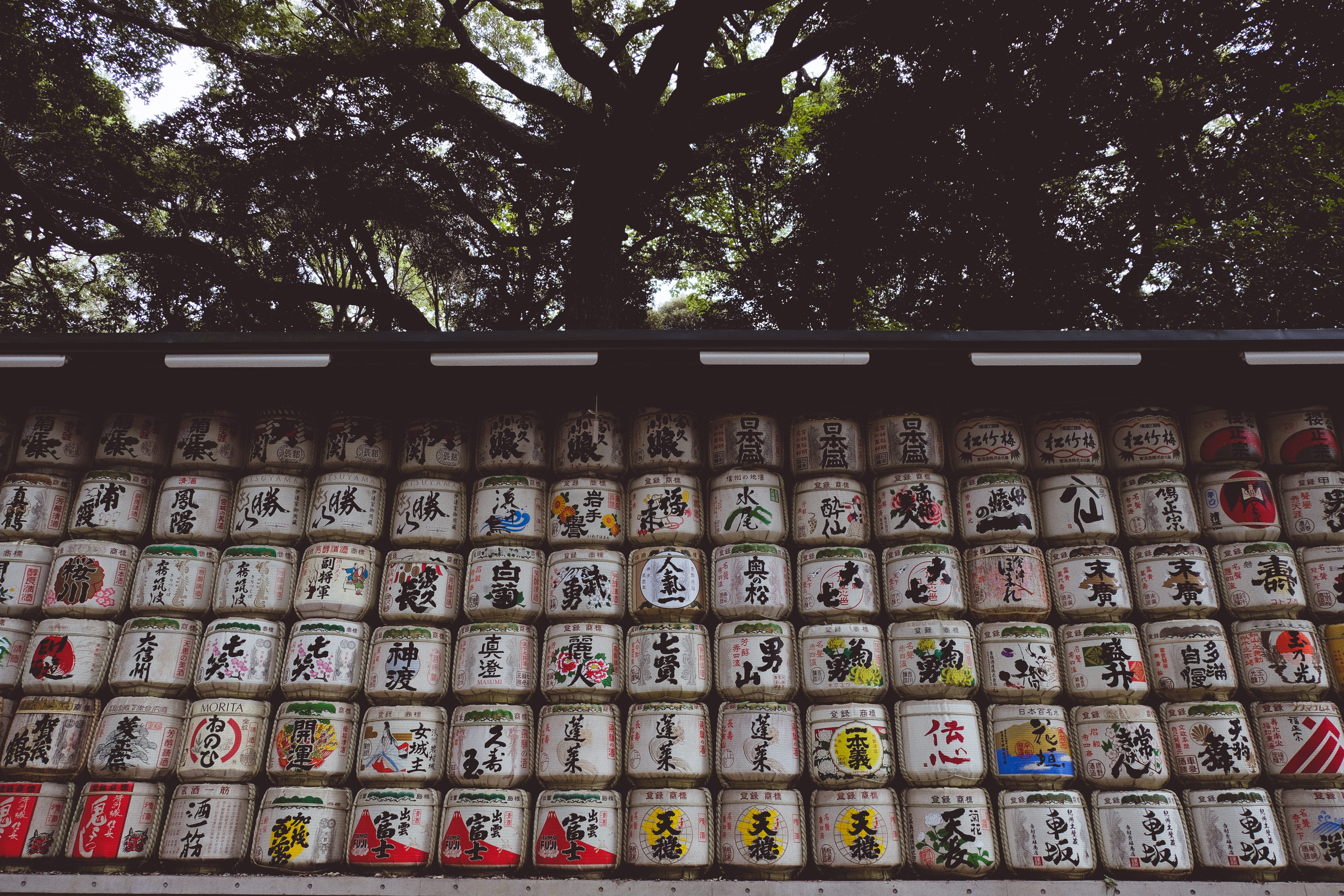 japan, wall - building feature, low angle view, outdoors, multi colored, day, meiji jingu, religion, nature, plant, no people, arrangement, tree, side by side, HD Wallpaper