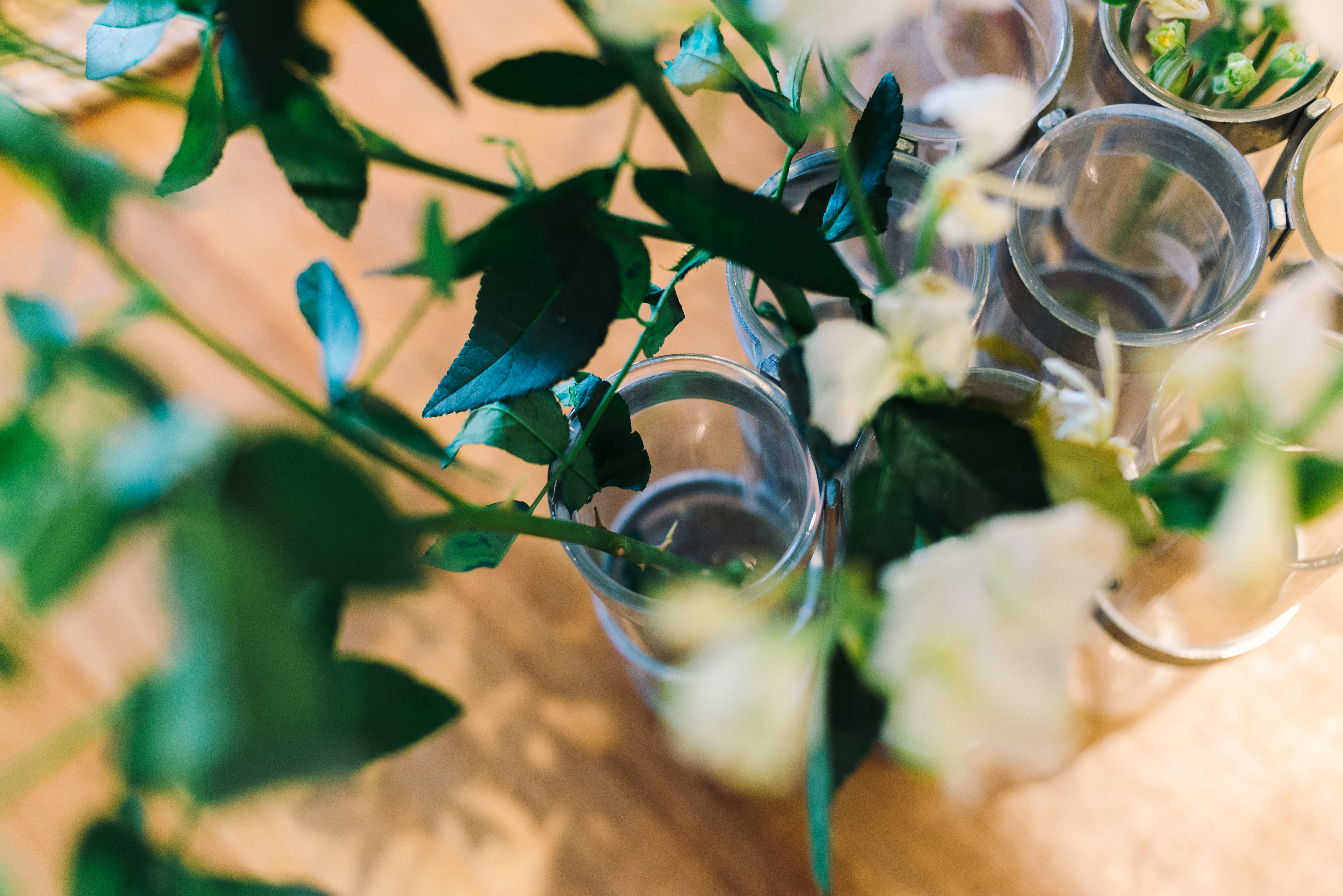 white, green, food and drink, 5K, leaf, drink, freshness, selective focus, refreshment, rose, household equipment, japan, transparent, green color, ones by sosu, HD Wallpaper