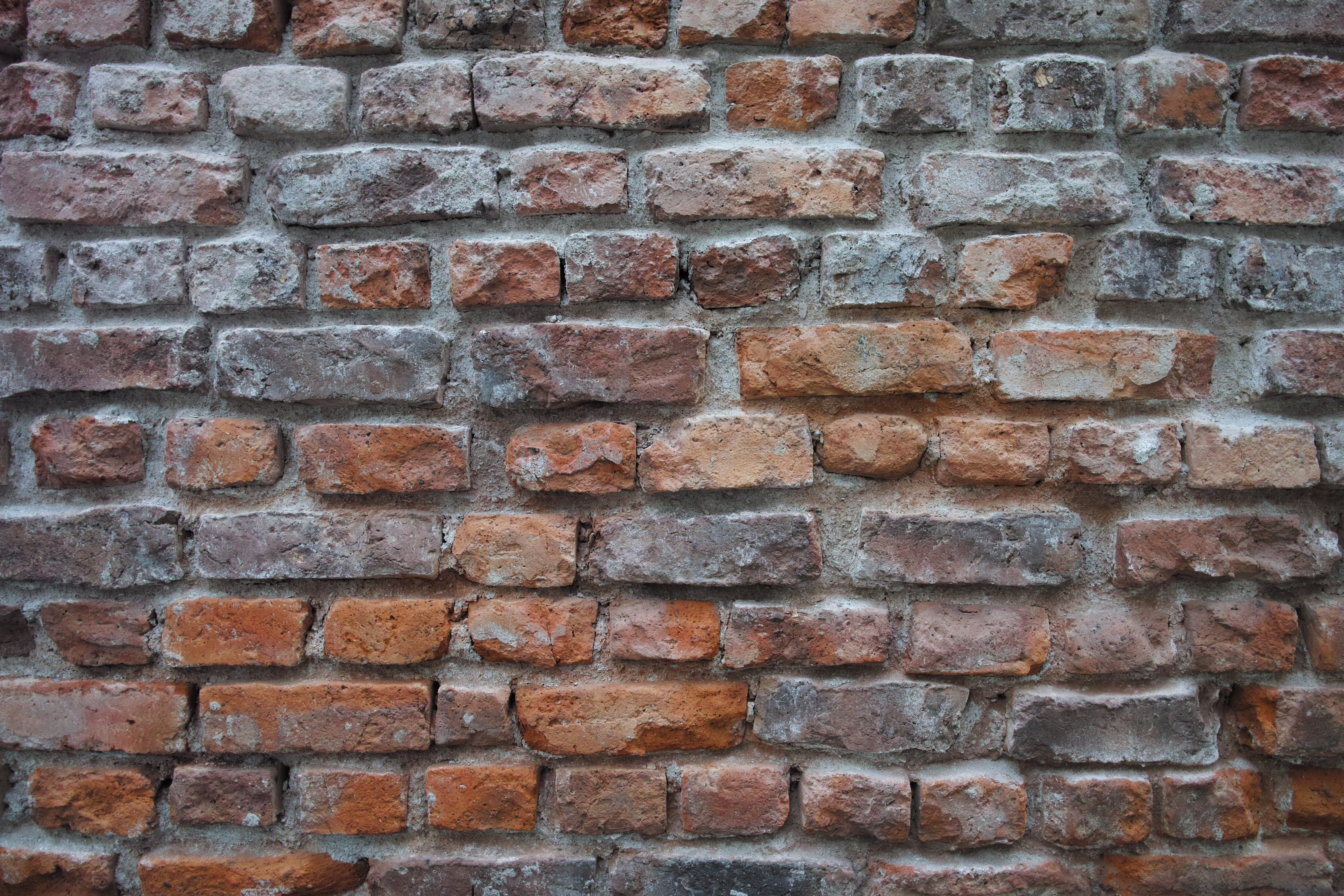 selective focus, textured, solid, photography, beautiful, decoration, detail, day, old, nobody, brick wall, decor, close-up, construction material, wall - building feature, HD Wallpaper