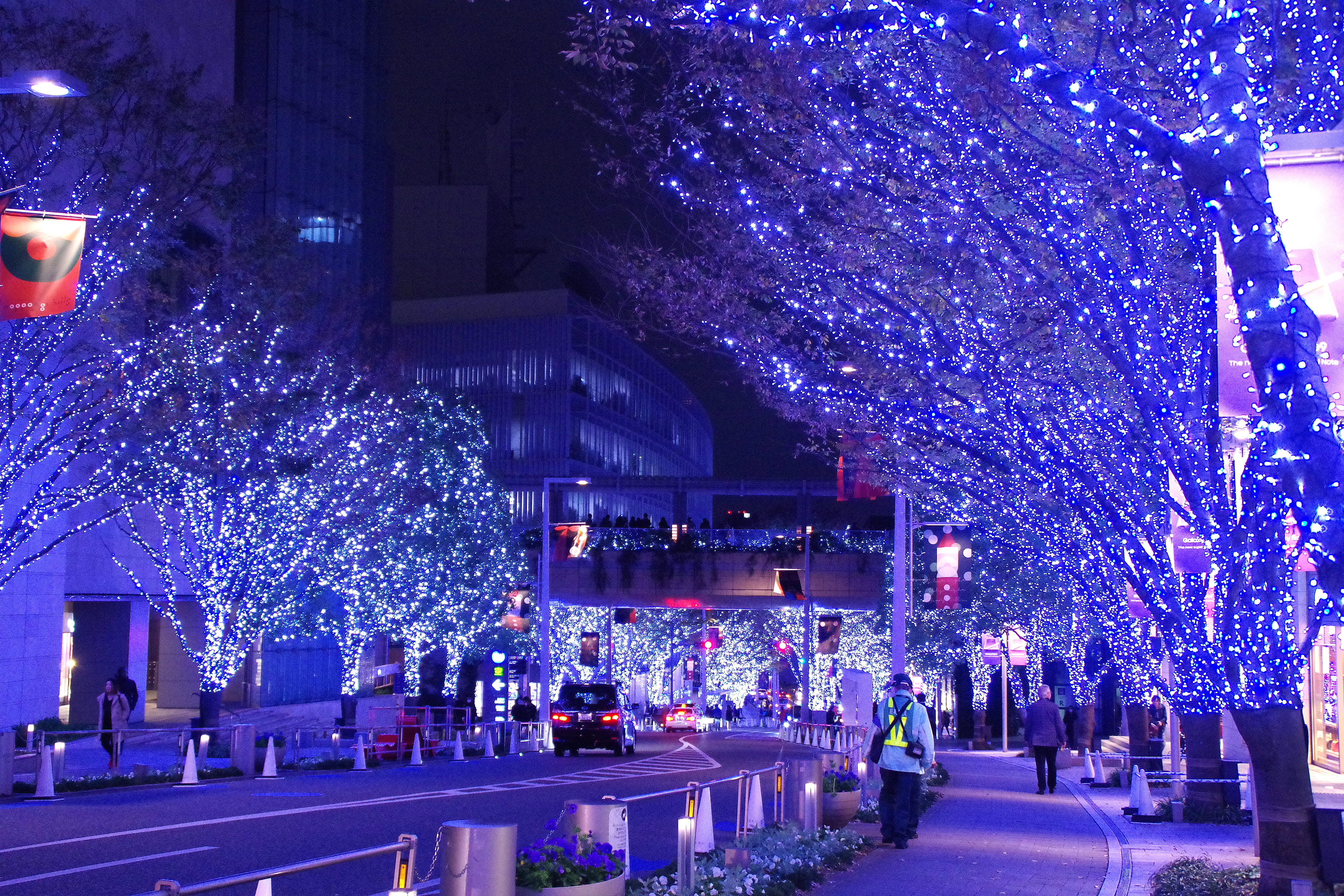 holiday, building exterior, plant, night, roppongi, roppongi hills, decoration, built structure, outdoors, tokyo, light, japan, nature, tree, christmas tree, HD Wallpaper