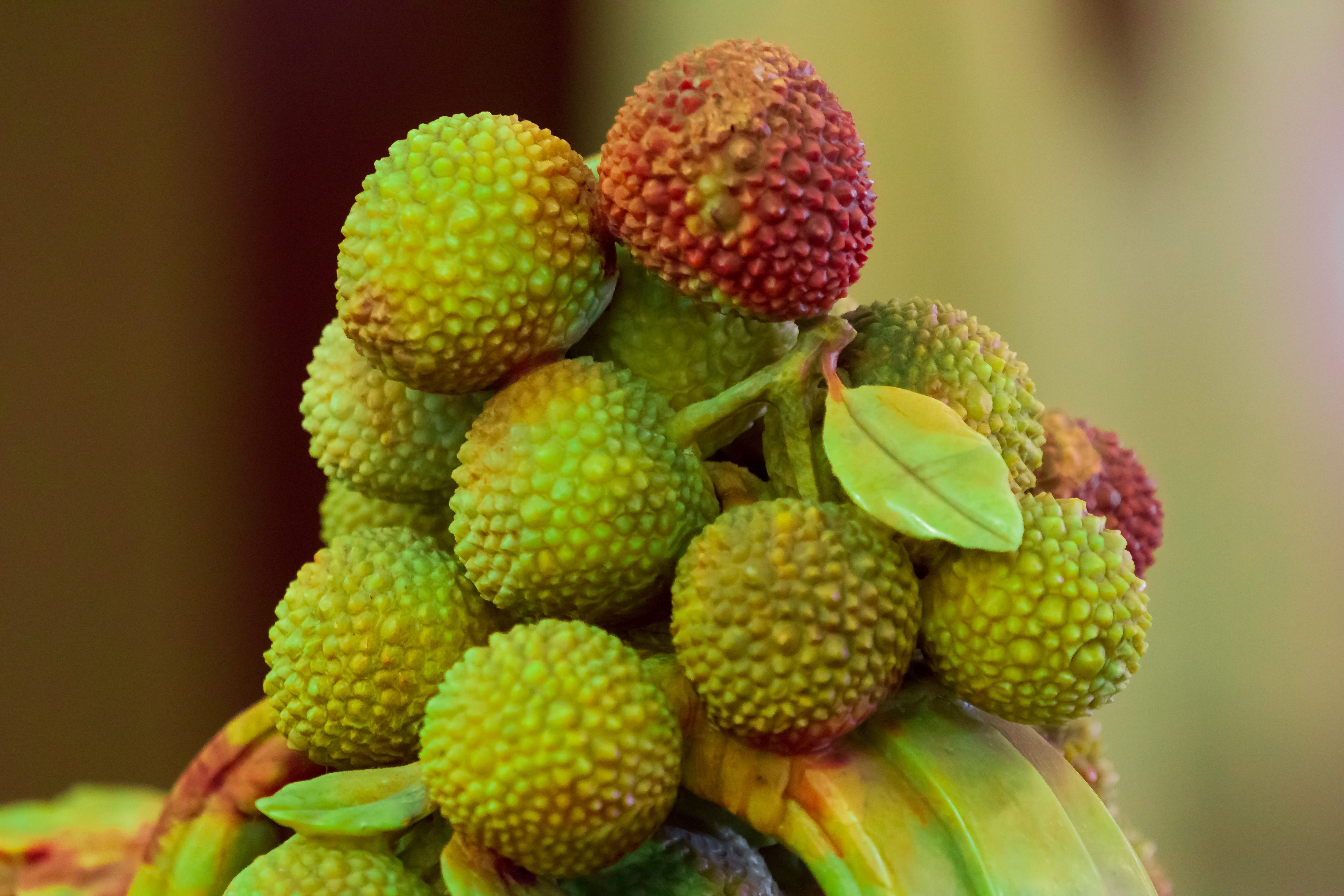 healthy eating, freshness, group of objects, strawberry tree, tropical fruit, plant, green color, food, jane tan kok, wellbeing, day, large group of objects, HD Wallpaper