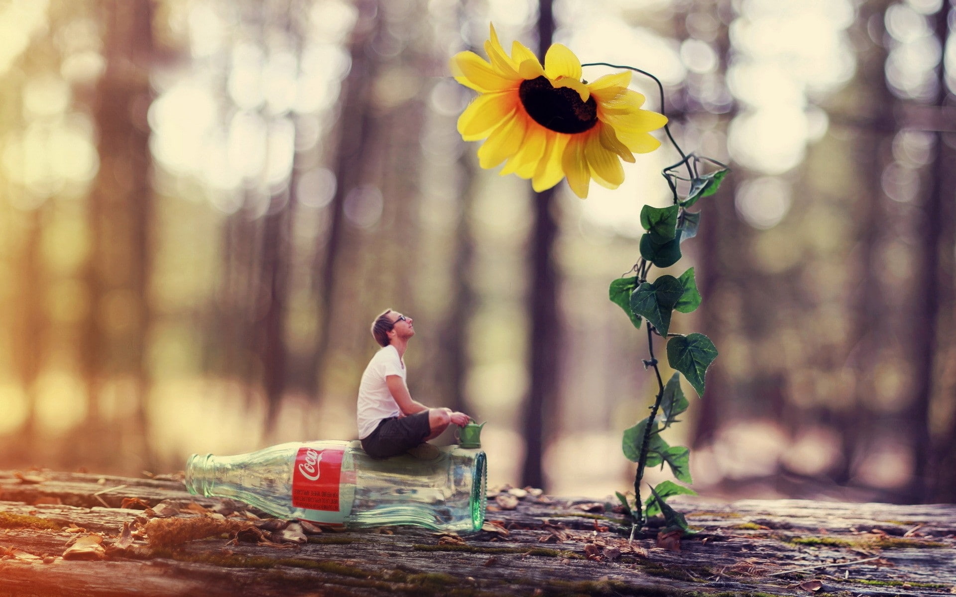 1080P, trunk, field, manipulation, depth, men, bottles, tree, natural, glasses, cocacola, people, photo, Flowers, art, hd, HD Wallpaper