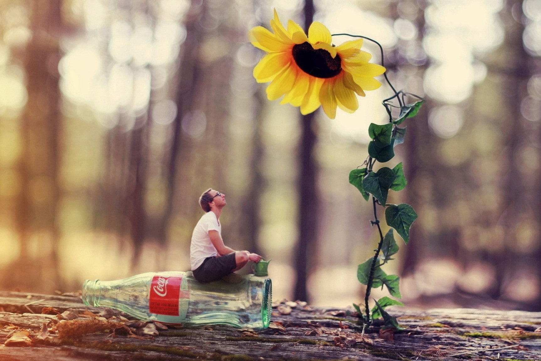 x, hd, art, photography, Flowers, men, 720P, abstract, cocacola, HD Wallpaper