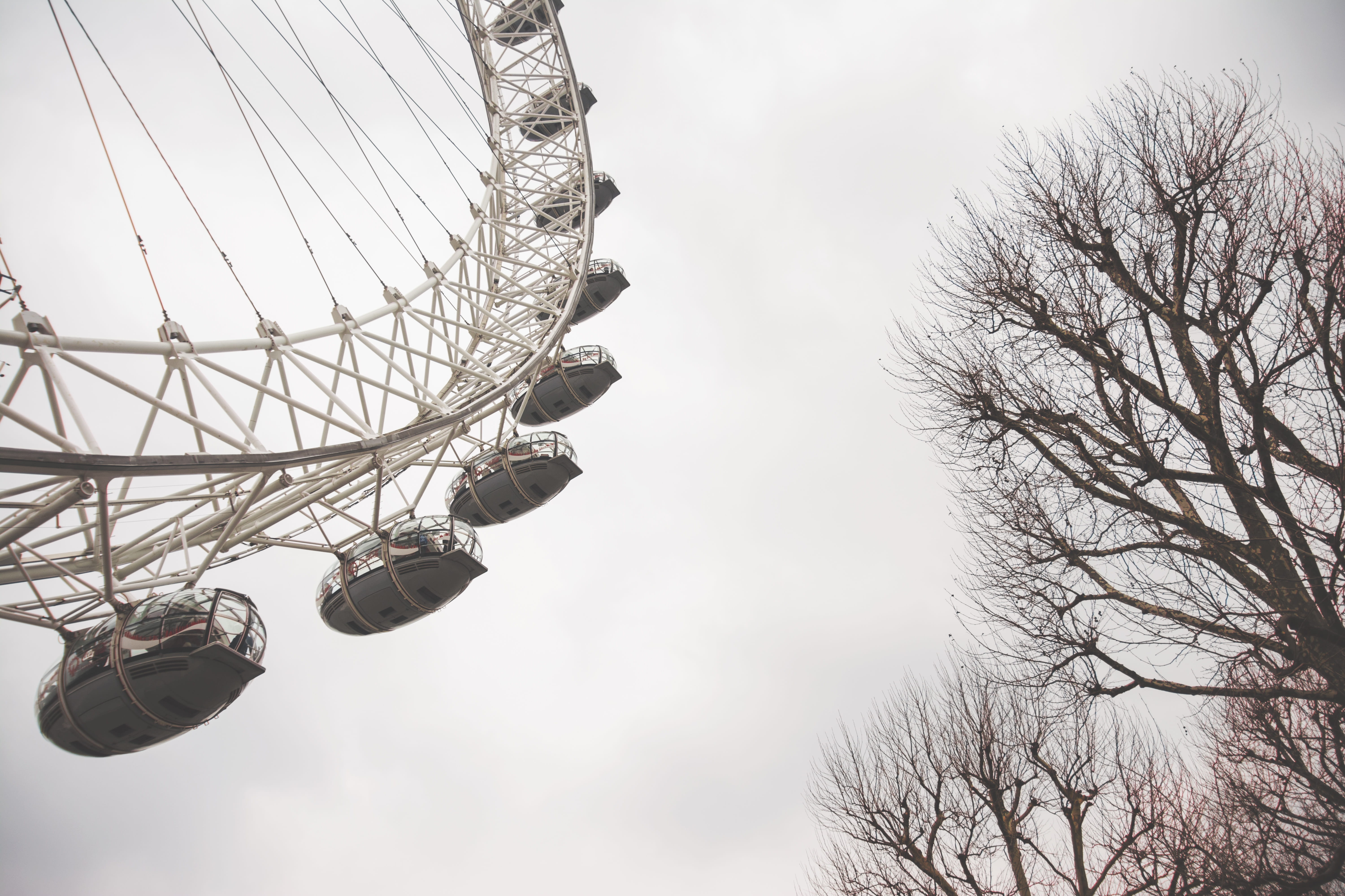 low angle view, amusement park ride, trees, shape, cloud - sky, no people, ferris wheel, 5K, tree, london eye, united kingdom, geometric shape, cocacola, HD Wallpaper