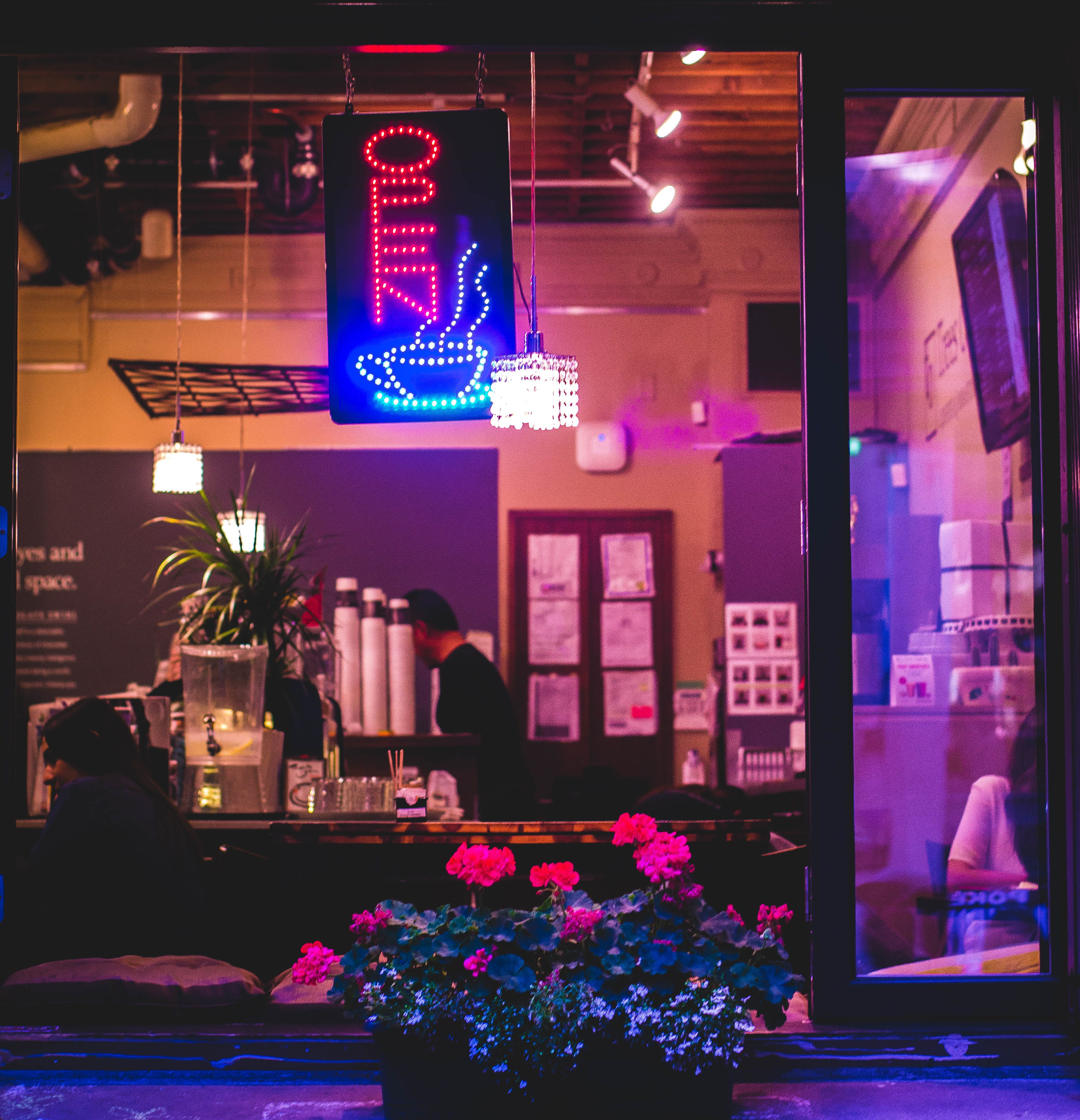 flowering plant, cafe, colour, business, signage, culture, explore, hanged, plant, built structure, illuminated, sign, lighting equipment, gastown, cityscape, Phone HD Wallpaper