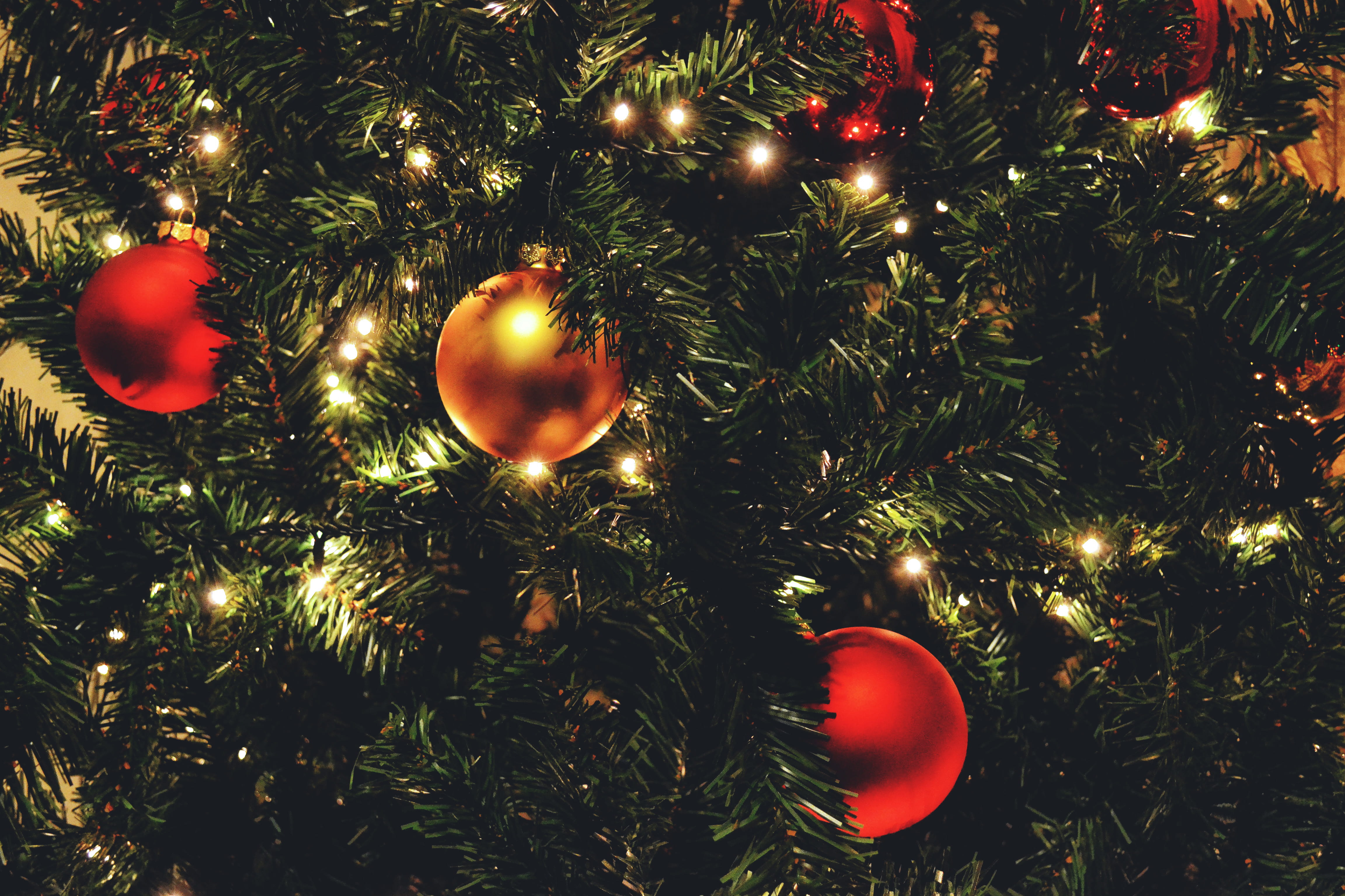 4K, decorations, shiny, lights, christmas lights, christmas Ornament, decoration, Christmas tree lights, xmas, christmas decoration, holiday, christmas Tree, HD Wallpaper