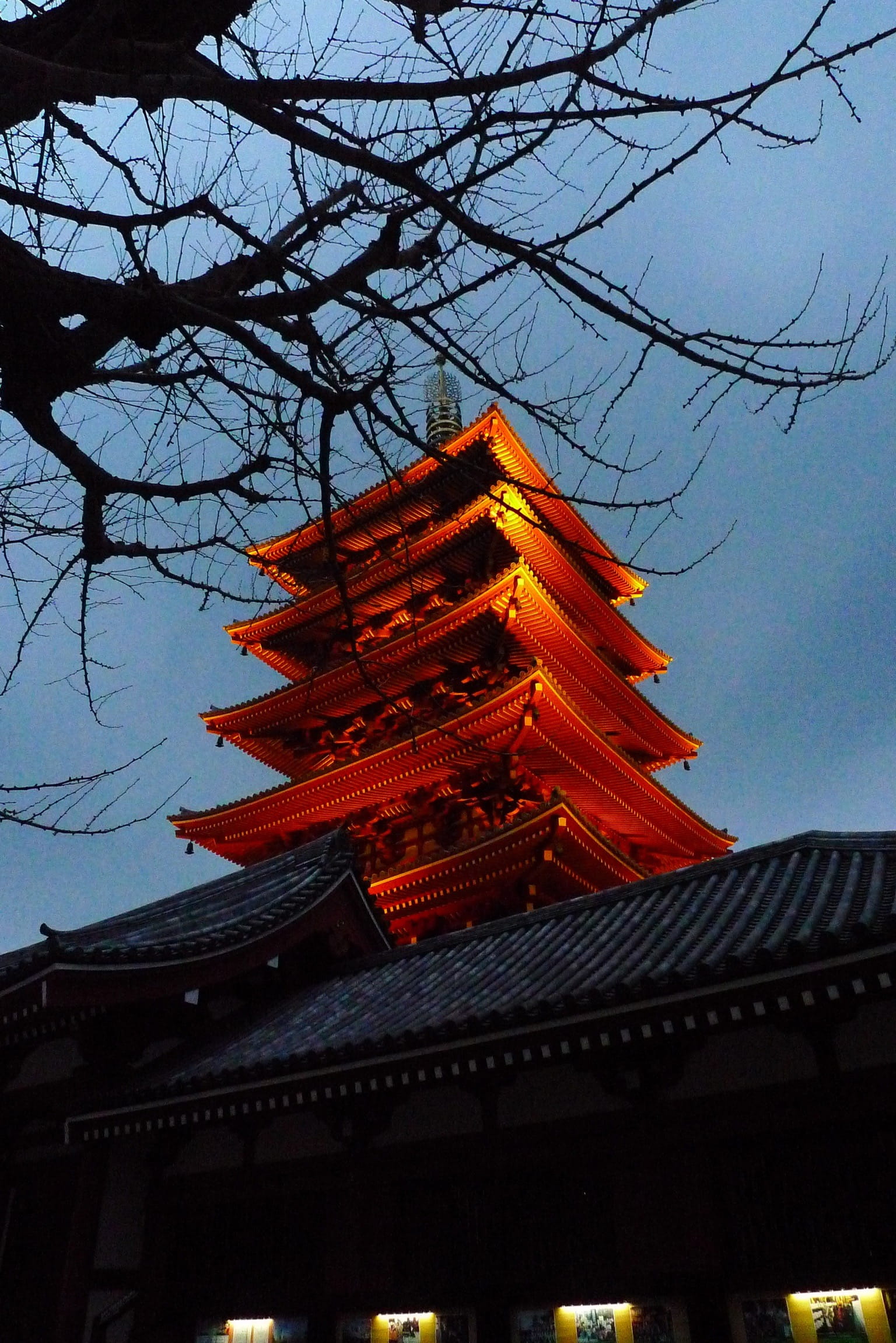 religion, plant, asakusa, ornate, architecture, spirituality, nature, 1080P, taito, outdoors, building exterior, japan, eaves, building, built structure, Phone HD Wallpaper