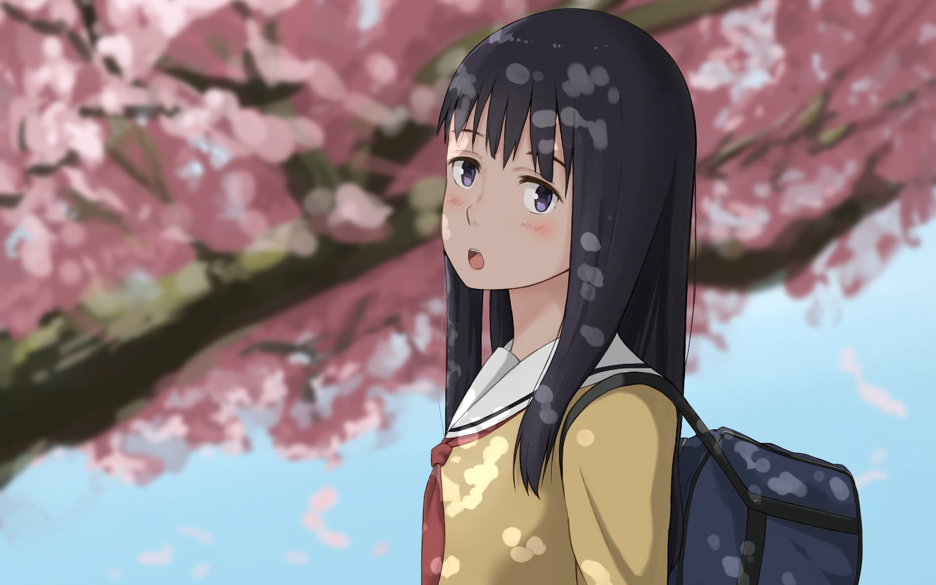 Anime, 1080P, Naoka Ueno, Koe No Katachi, HD Wallpaper