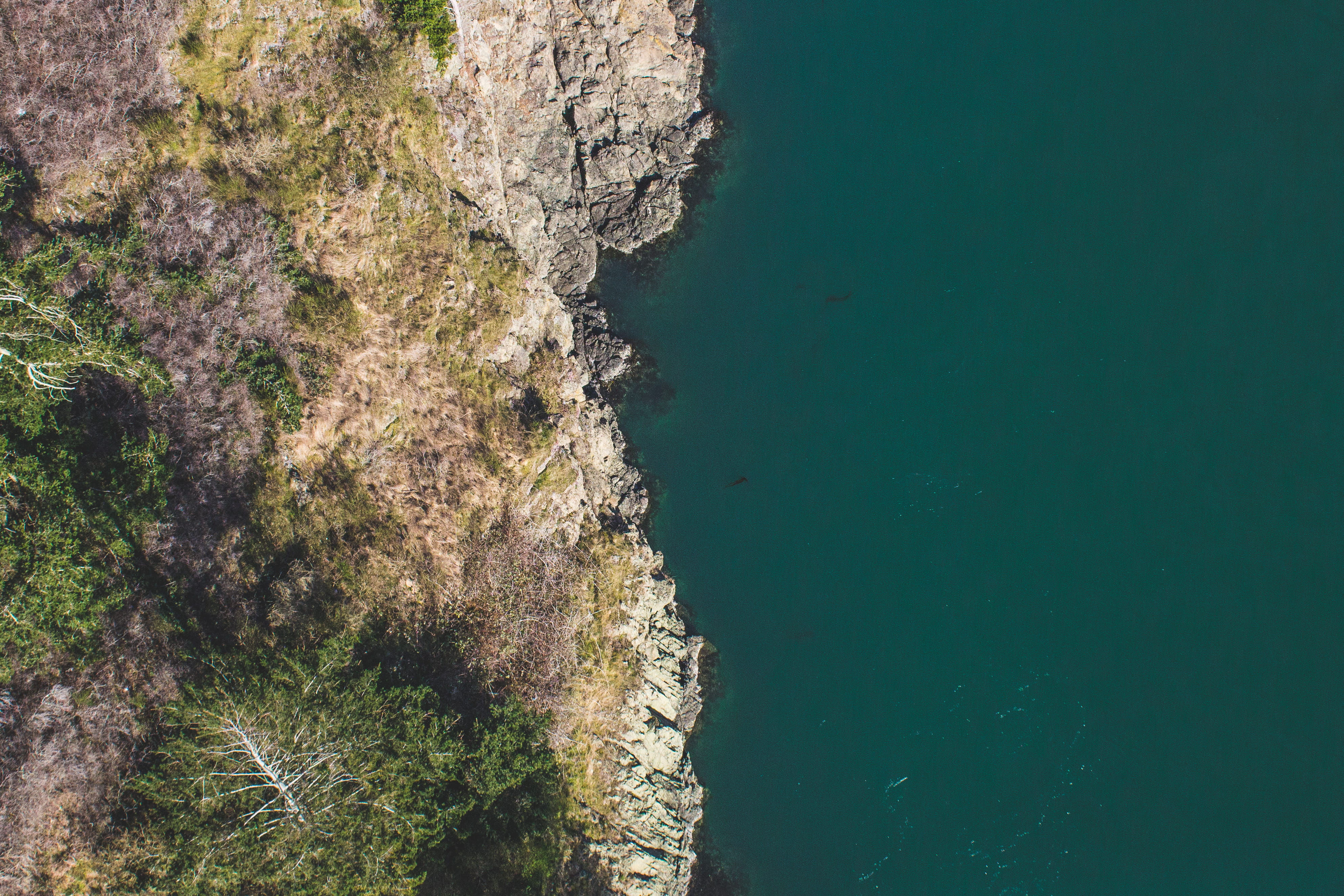 lake, no people, tranquility, oak harbor, bay, nature, day, high angle view, non-urban scene, beauty in nature, turquoise colored, plant, rock, tranquil scene, HD Wallpaper