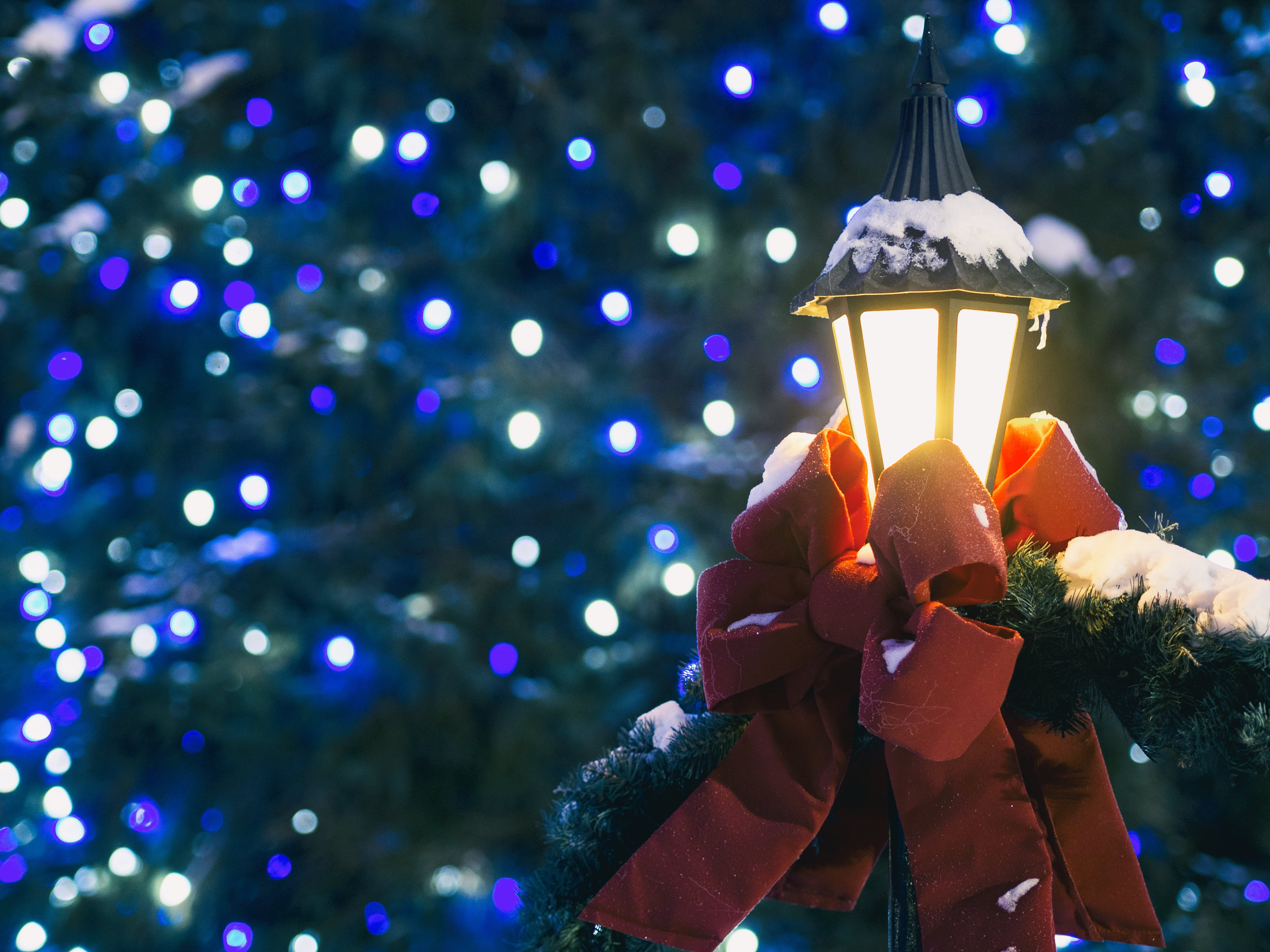 light, winter, human hand, eve, decorate, plant, color, close-up, snow, holiday, christmas lights, holding, christmas tree, decoration, 4K, illuminated, HD Wallpaper