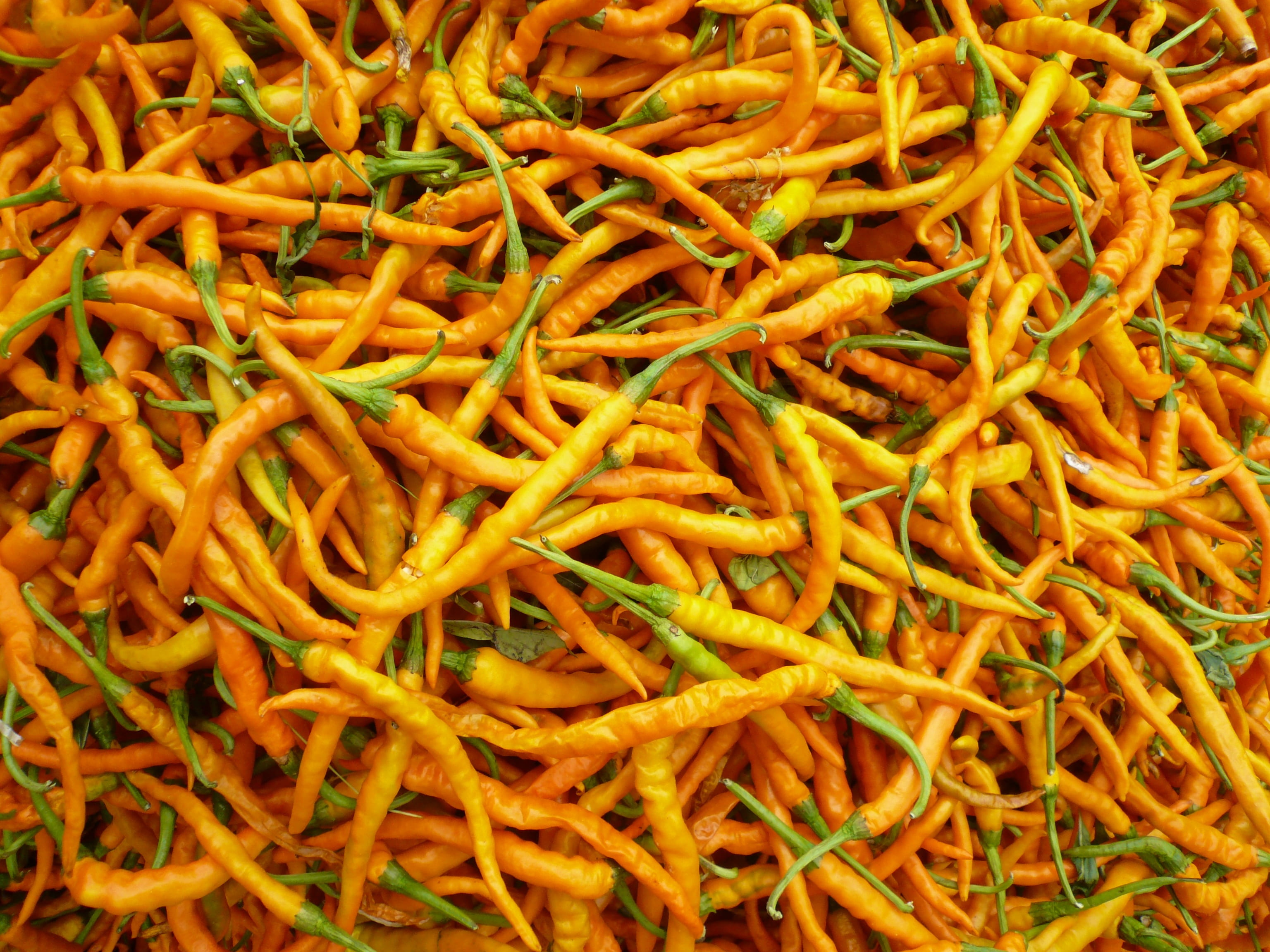 indoors, root vegetable, backgrounds, close-up, full frame, snack, freshness, food, healthy eating, wellbeing, high angle view, chili pepper, vegetable, HD Wallpaper