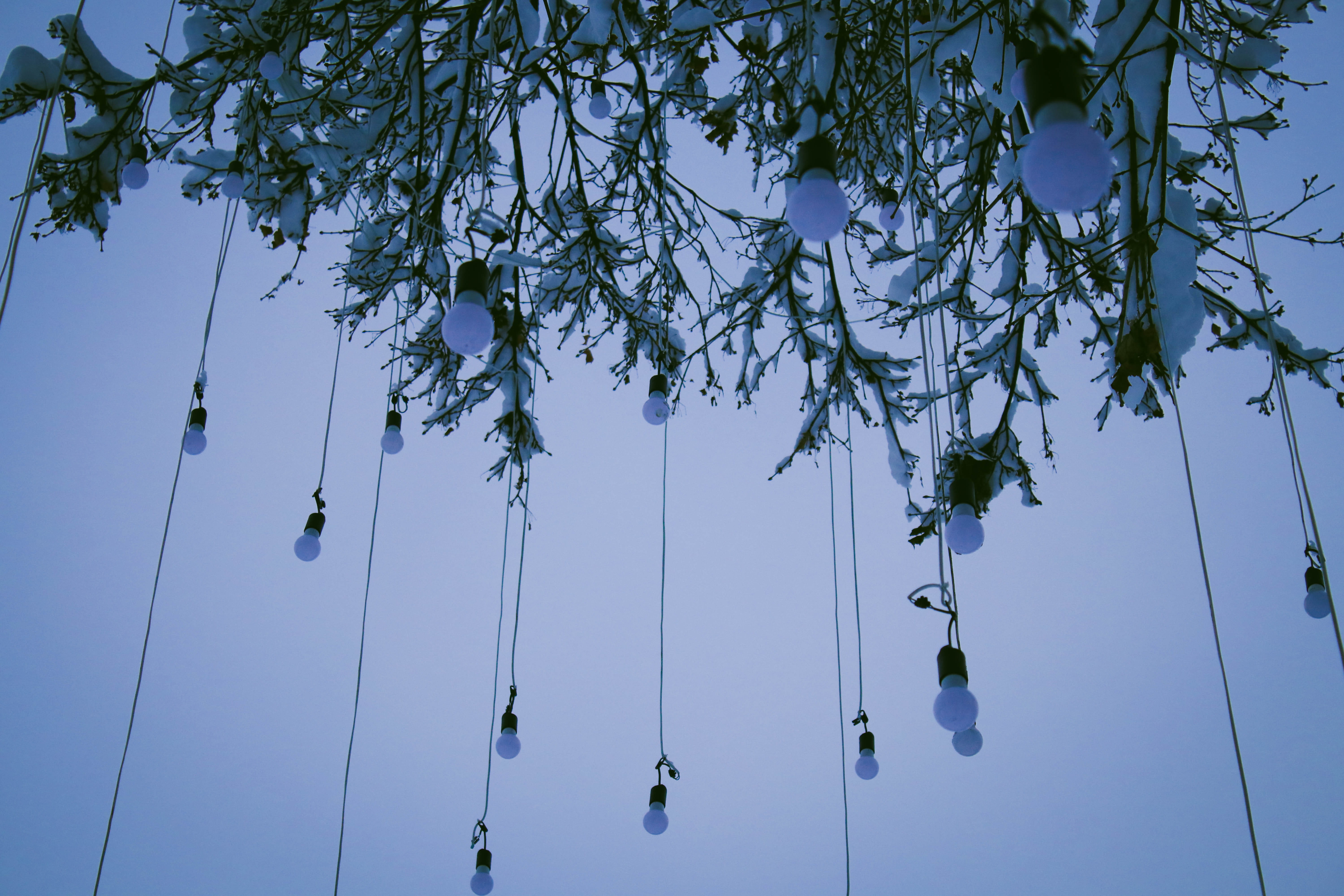 bird, tranquility, beauty in nature, clear sky, flower, plant, adventure, decoration, silhouette, chime, swing, growth, branch, toy, play area, gong, day, HD Wallpaper