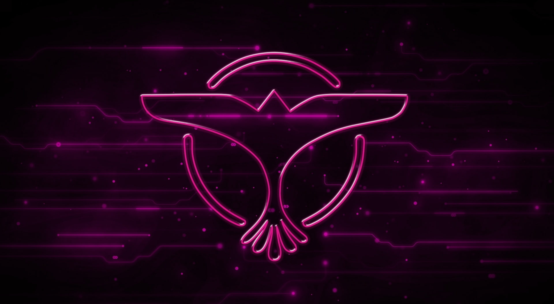 electricity, art and craft, pink color, technology, 1080P, light, Logo, Purple, dj tiesto, Background, red, multi colored, night, studio shot, illuminated, HD Wallpaper