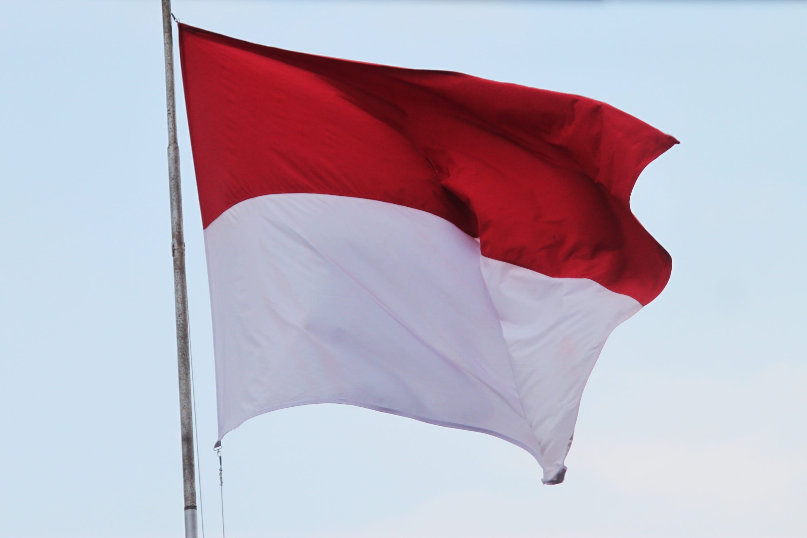 sky, environment, purwokerto, textile, national icon, striped, low angle view, no people, Indonesian Flag, white color, 2K, homeland, day, waving, pride, HD Wallpaper
