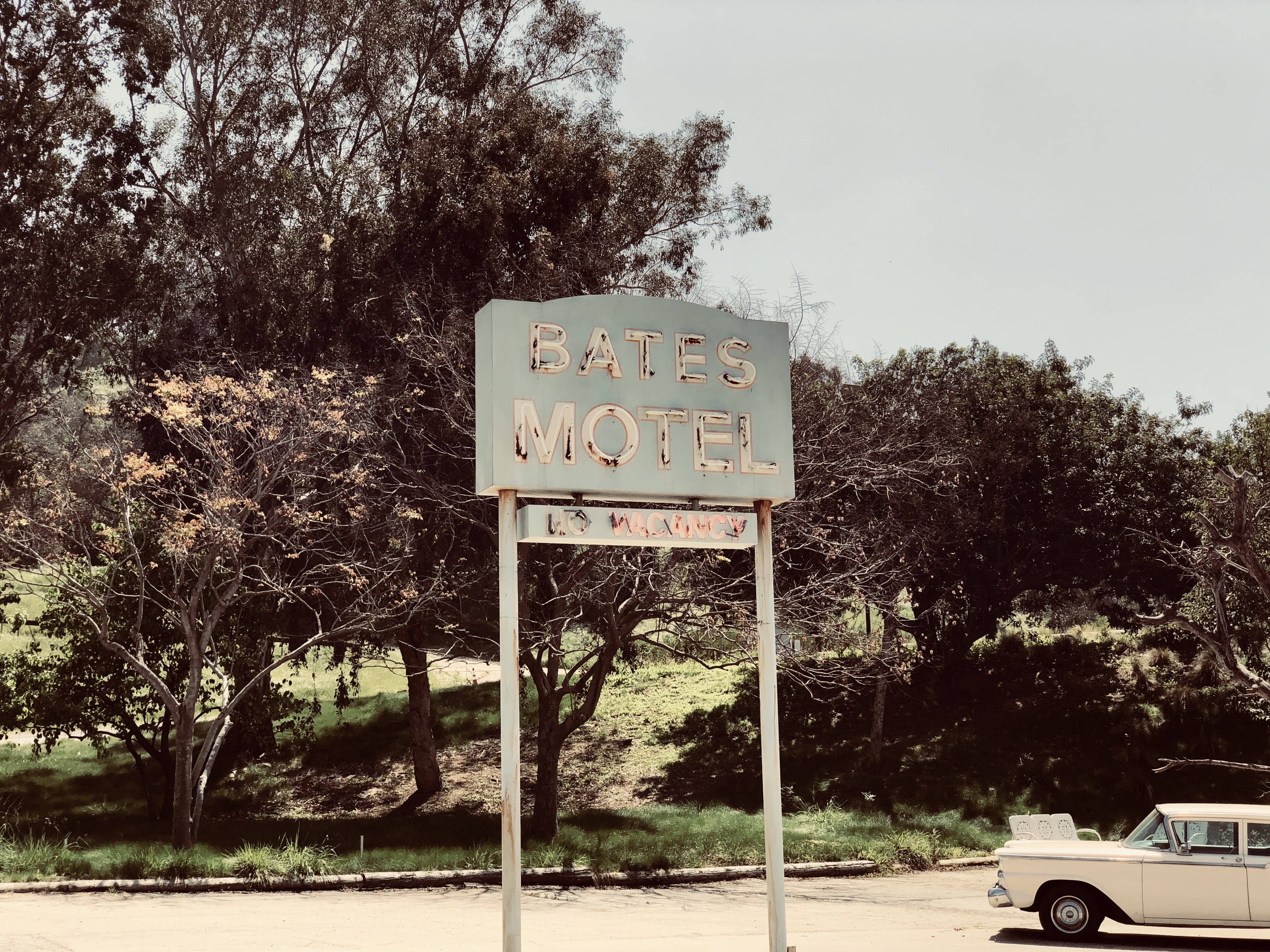sign, nature, tree, text, communication, western script, land vehicle, motel, car, road sign, information, no people, transportation, sky, day, outdoors, HD Wallpaper