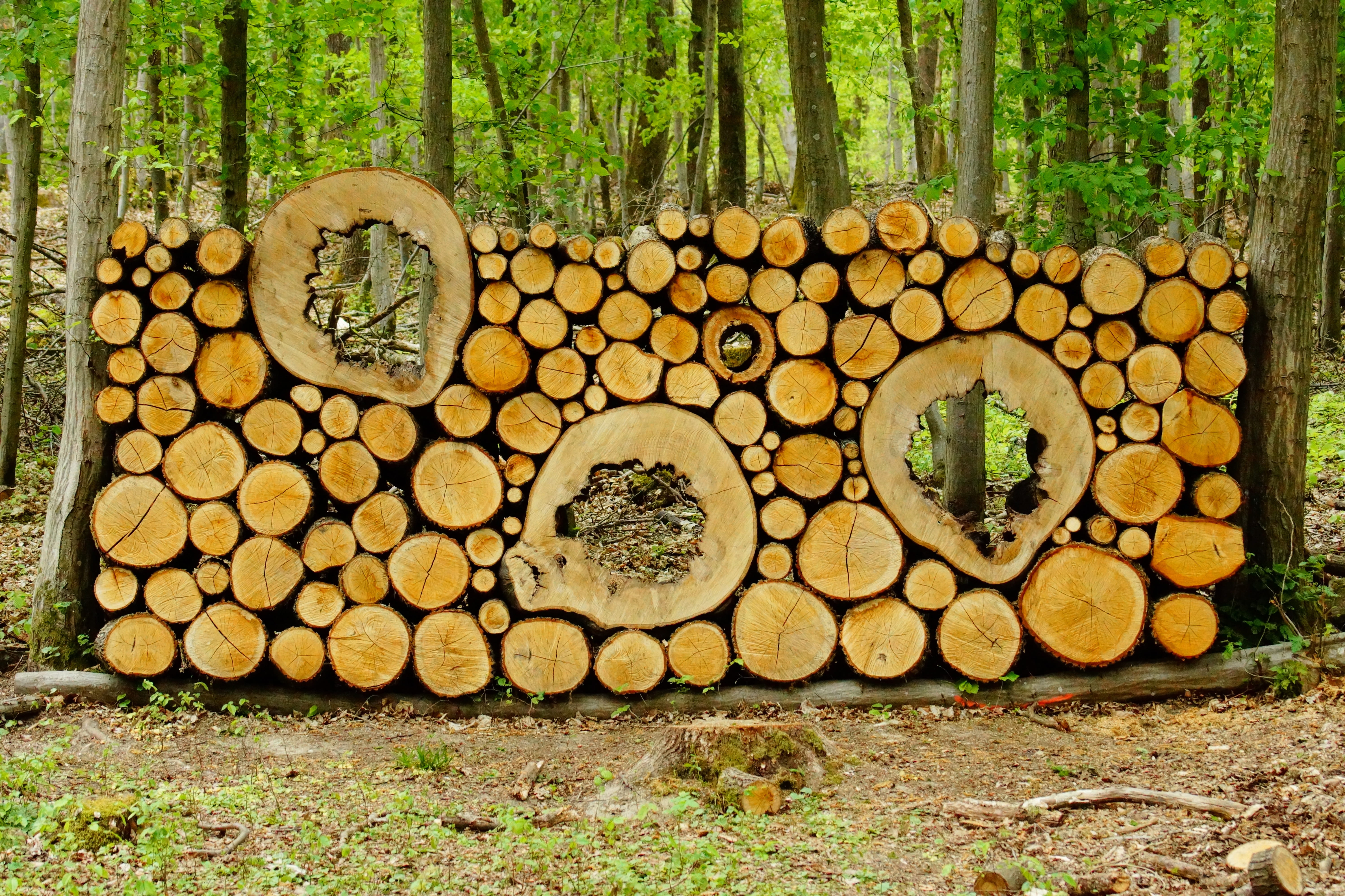 log, stack, sawed off, nature, deforestation, large group of objects, Wood, Stacked Up, Strains, woodland, abundance, land, tree, 5K, wood - material, HD Wallpaper