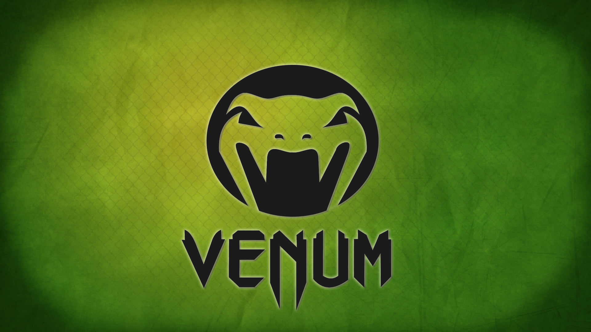 illustration, colored background, close-up, logo, vignette, flag, fighting, no people, fear, back lit, mma, venum, communication, 1080P, backgrounds, indoors, HD Wallpaper