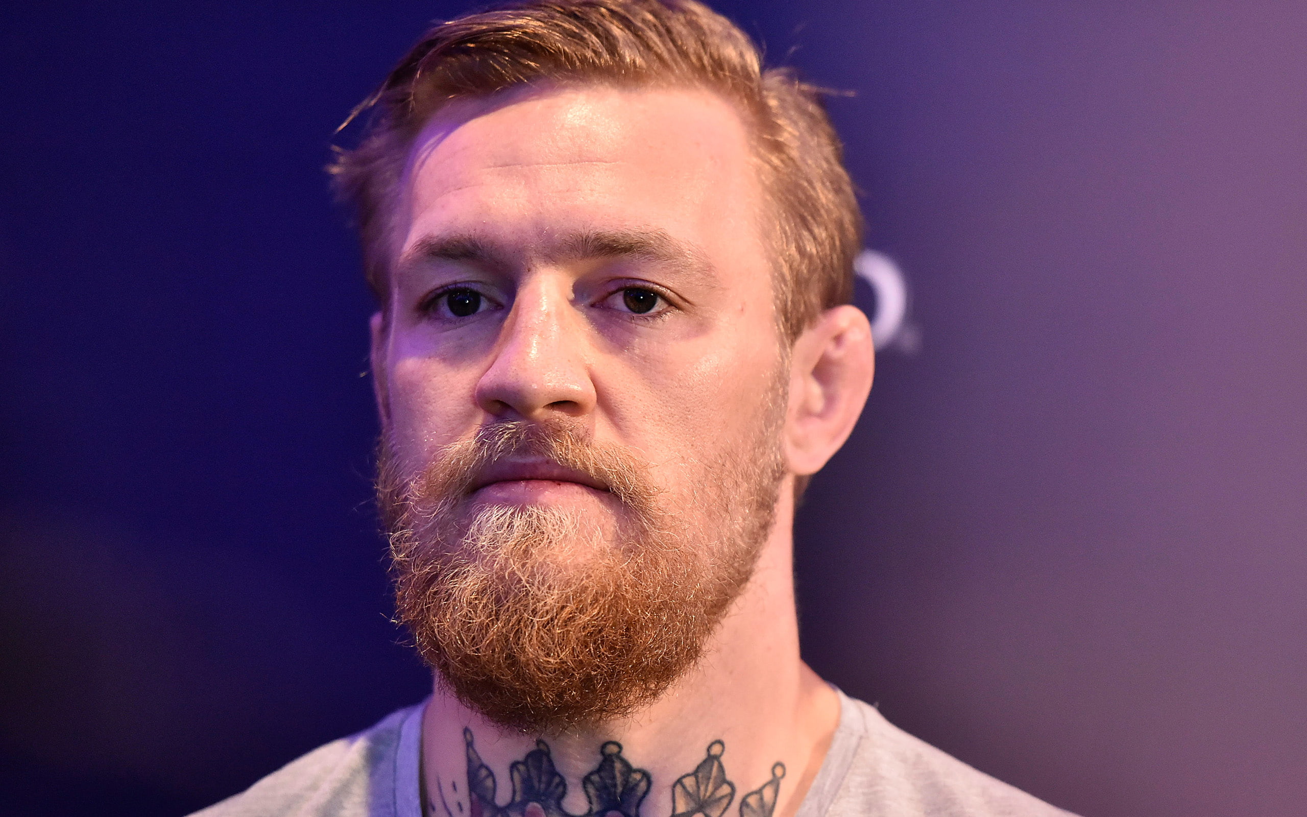 2K, conor, front view, beard, young men, colored background, mcgregor, men, looking at camera, adult, blue background, portrait, ufc, body part, purple, HD Wallpaper