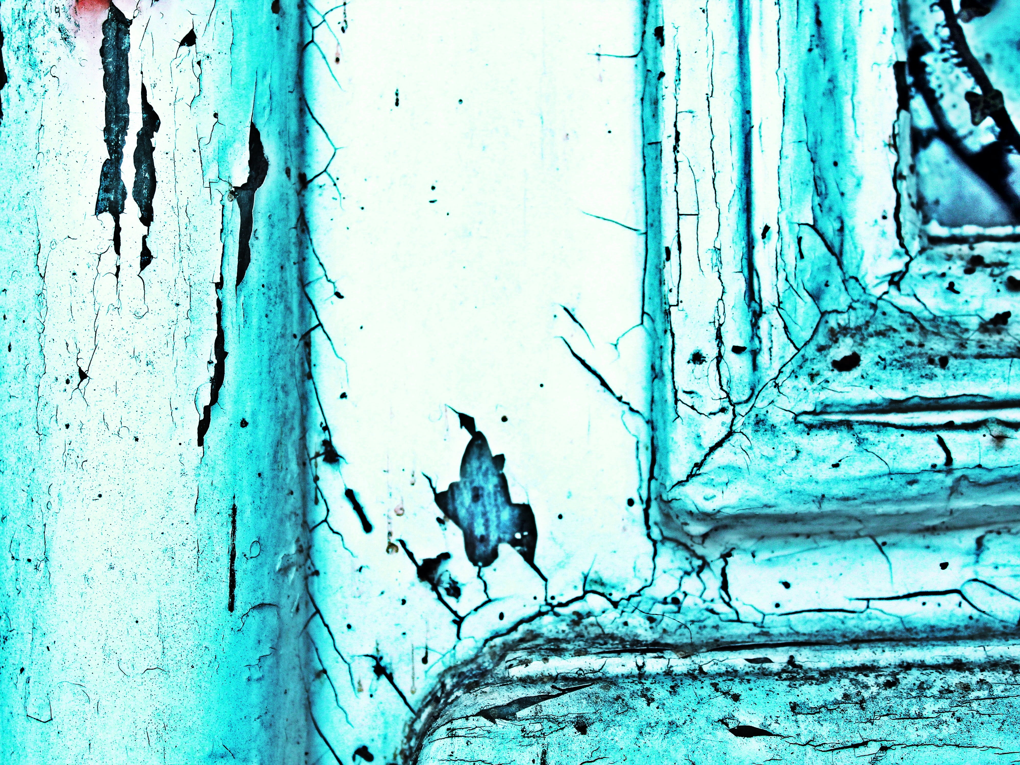 architecture, mystical, art, entrance, used, background, full frame, trunk, close, flake, run-down, tree trunk, old, building, white, built structure, door, HD Wallpaper