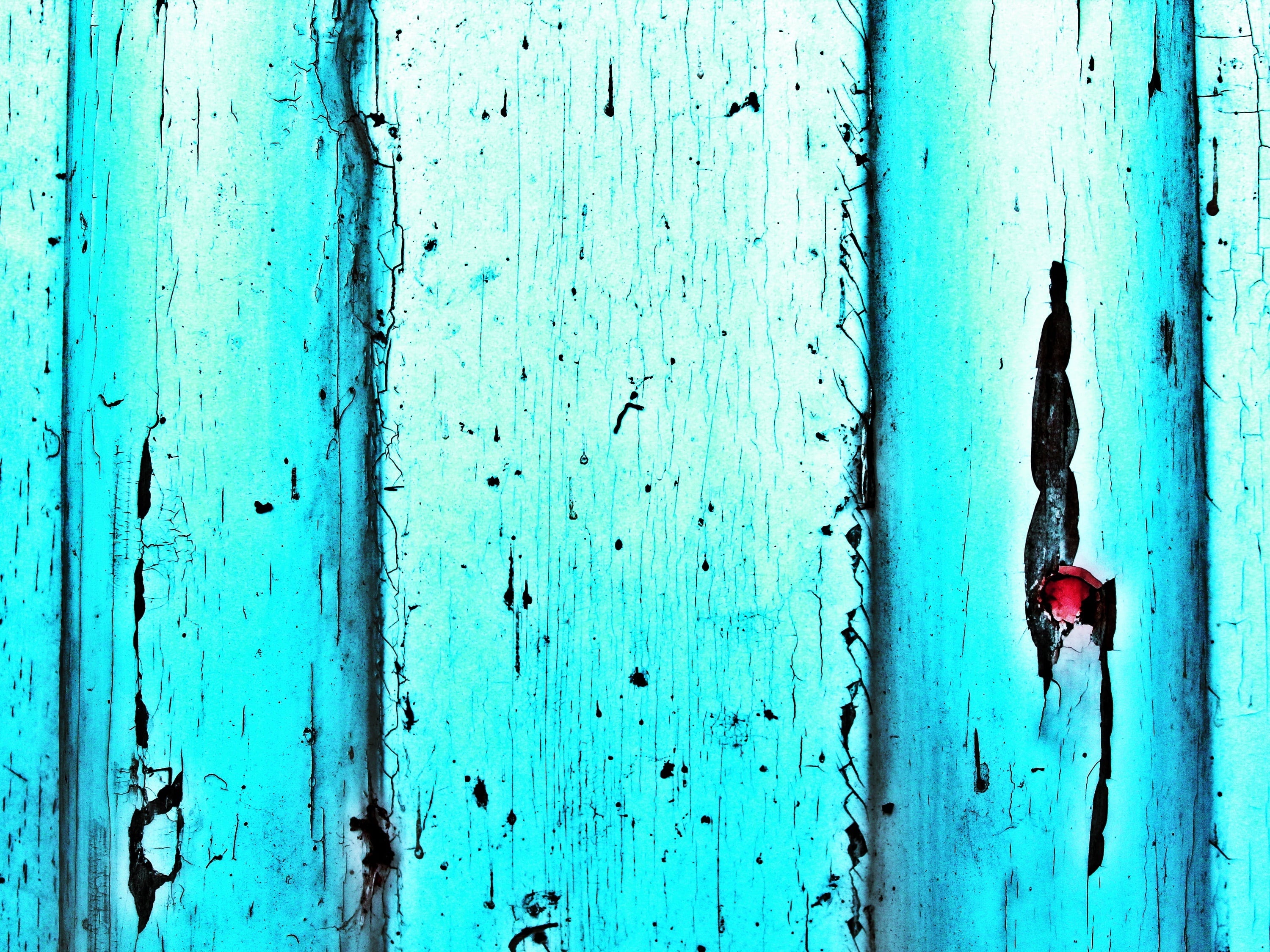 structure, grain, building, used, turquoise, decay, plank, textured, protection, abstract, texture, weathered, no people, entrance, 2K, art, blue, home, HD Wallpaper