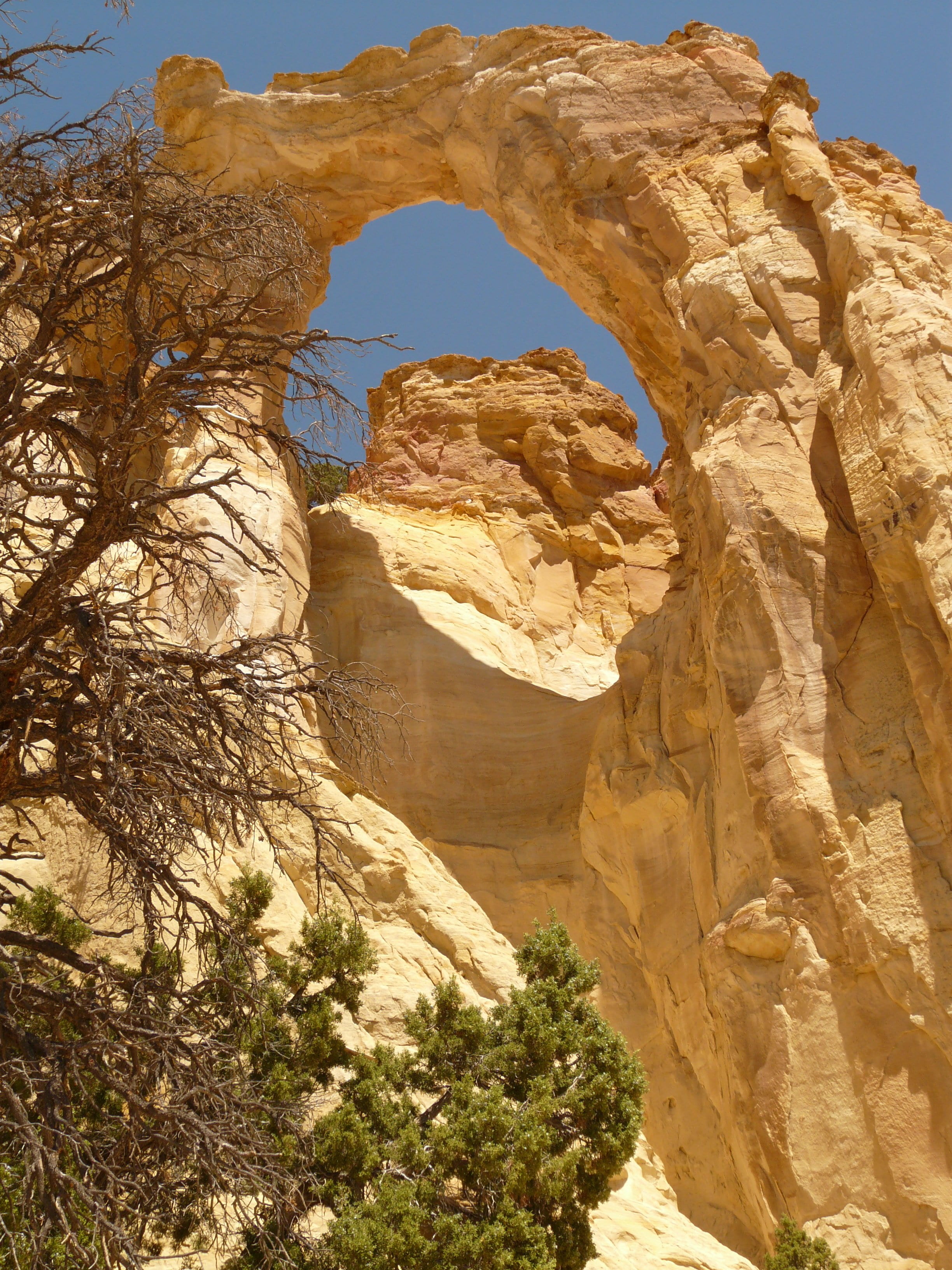 grand staircase escalante, outdoors, eroded, erosion, day, utah, grosvenor arch, places of interest, national park, tranquil scene, natural bridge, formation, Phone HD Wallpaper