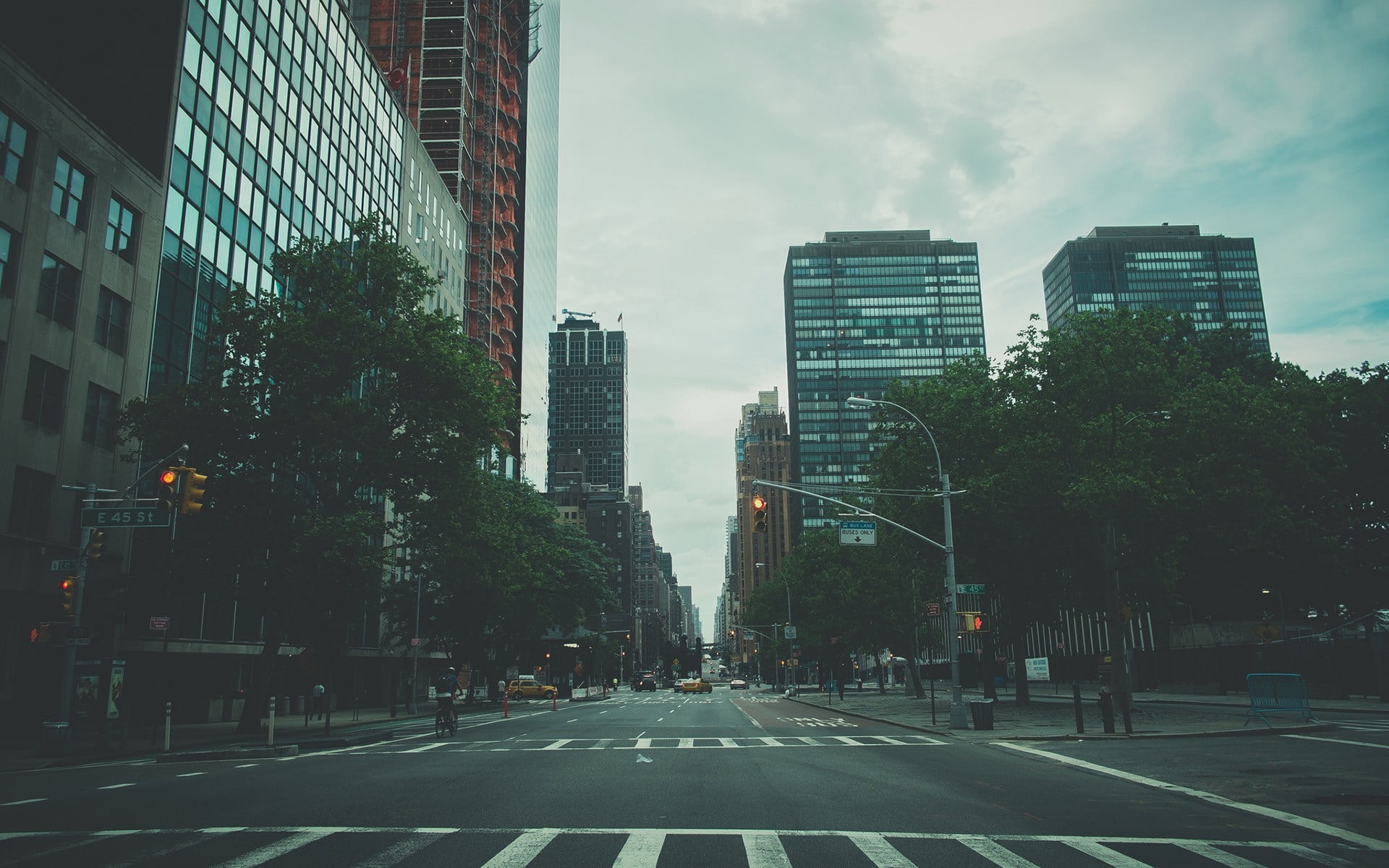 nature, city street, cityscape, tall - high, plant, road, black, urban Scene, architecture, built Structure, city Life, sky, car, cloud - sky, marking, HD Wallpaper