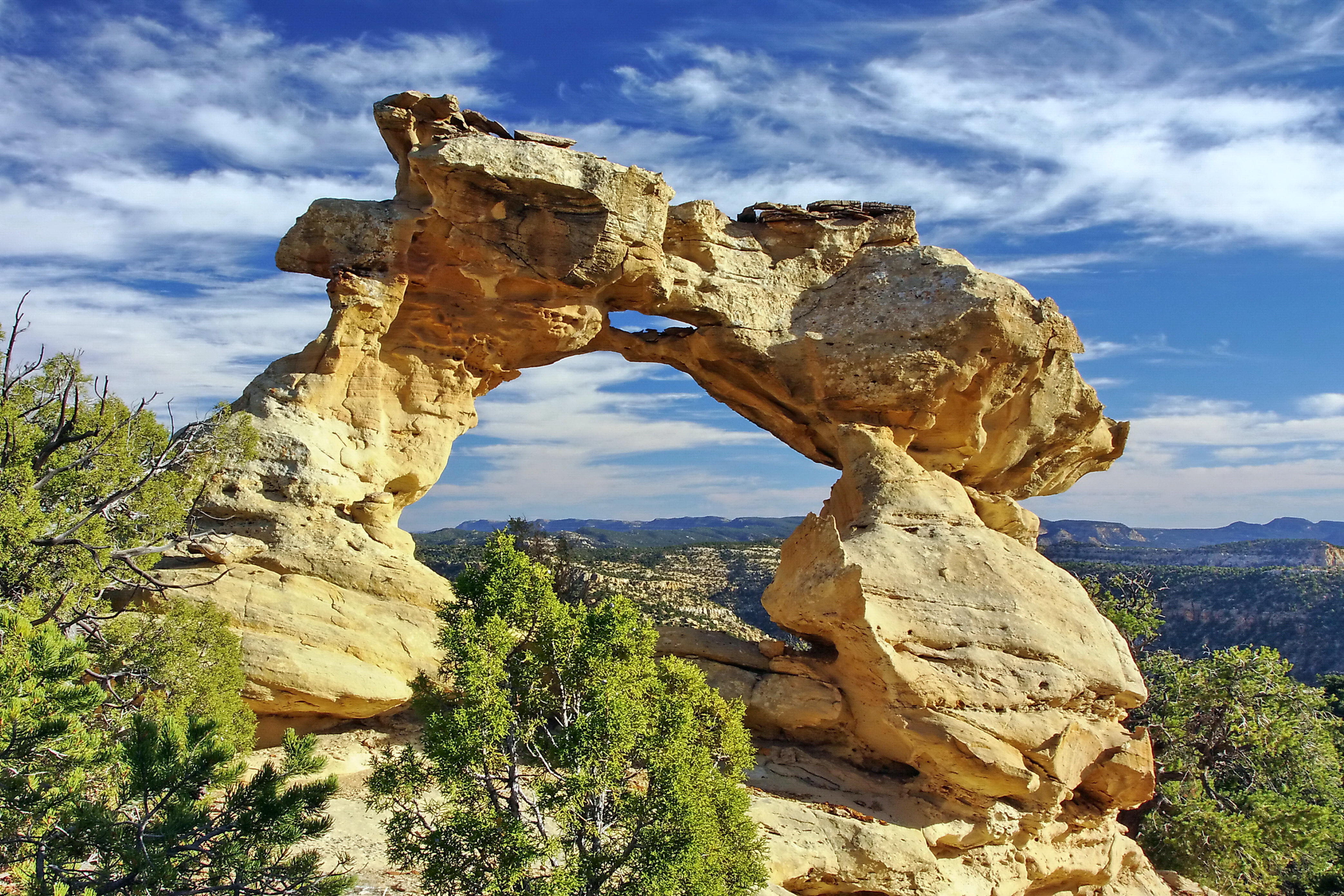 trees, USA, clouds, 4K, Grand staircase-Escalante, Utah, kiss of the dragon, Kissing Dragons, Sandstone, arch, rocks, the sky, HD Wallpaper