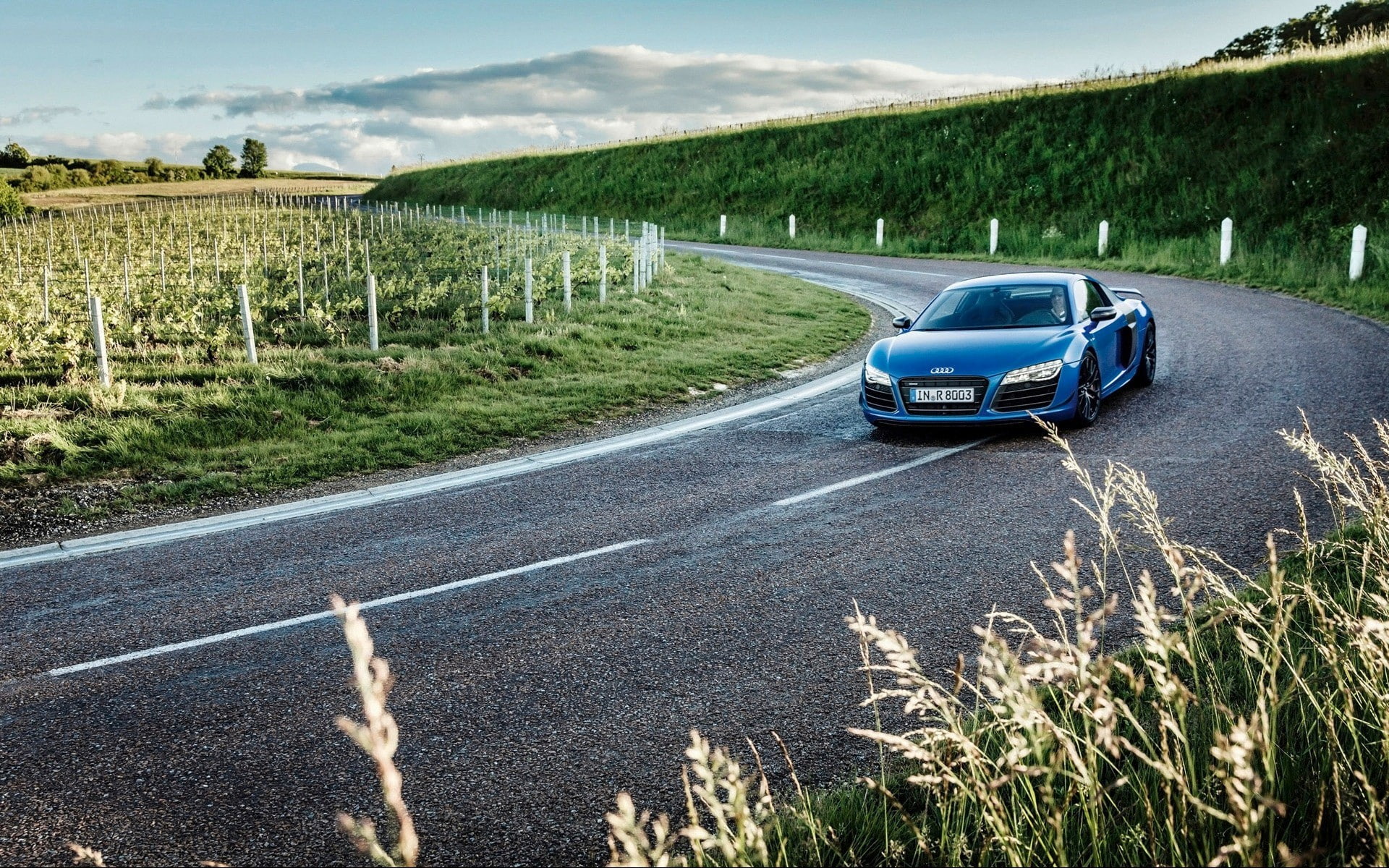 Audi, Turn, field, 1080P, Audi R8, plants, front angle view, Audi R8 Type 42, car, road, Audi R8 GT, HD Wallpaper