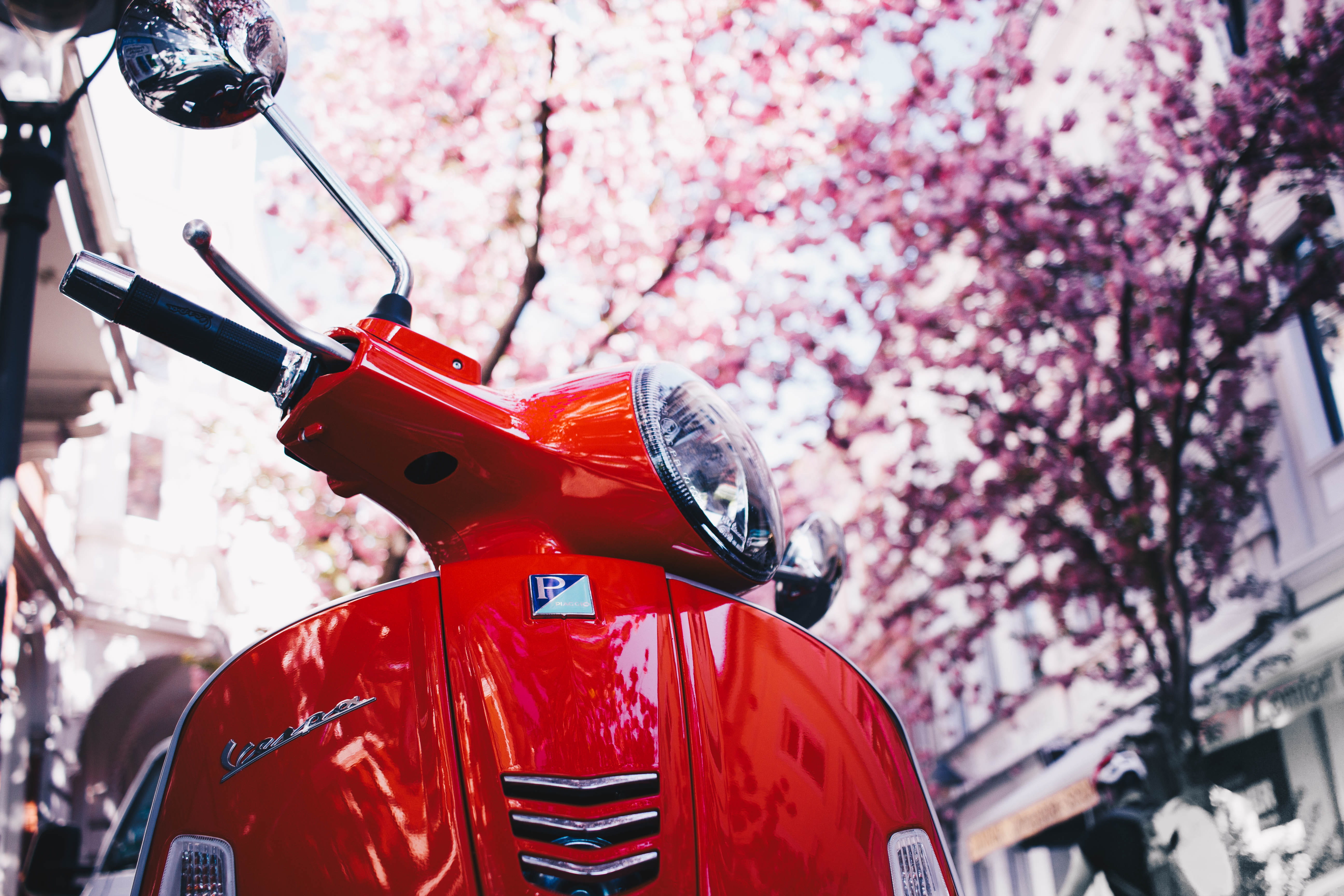 town, cherry tree, transportation system, daylight, cherry blossom, beauty in nature, focus on foreground, flower, motor, landscape, outdoors, freshness, HD Wallpaper