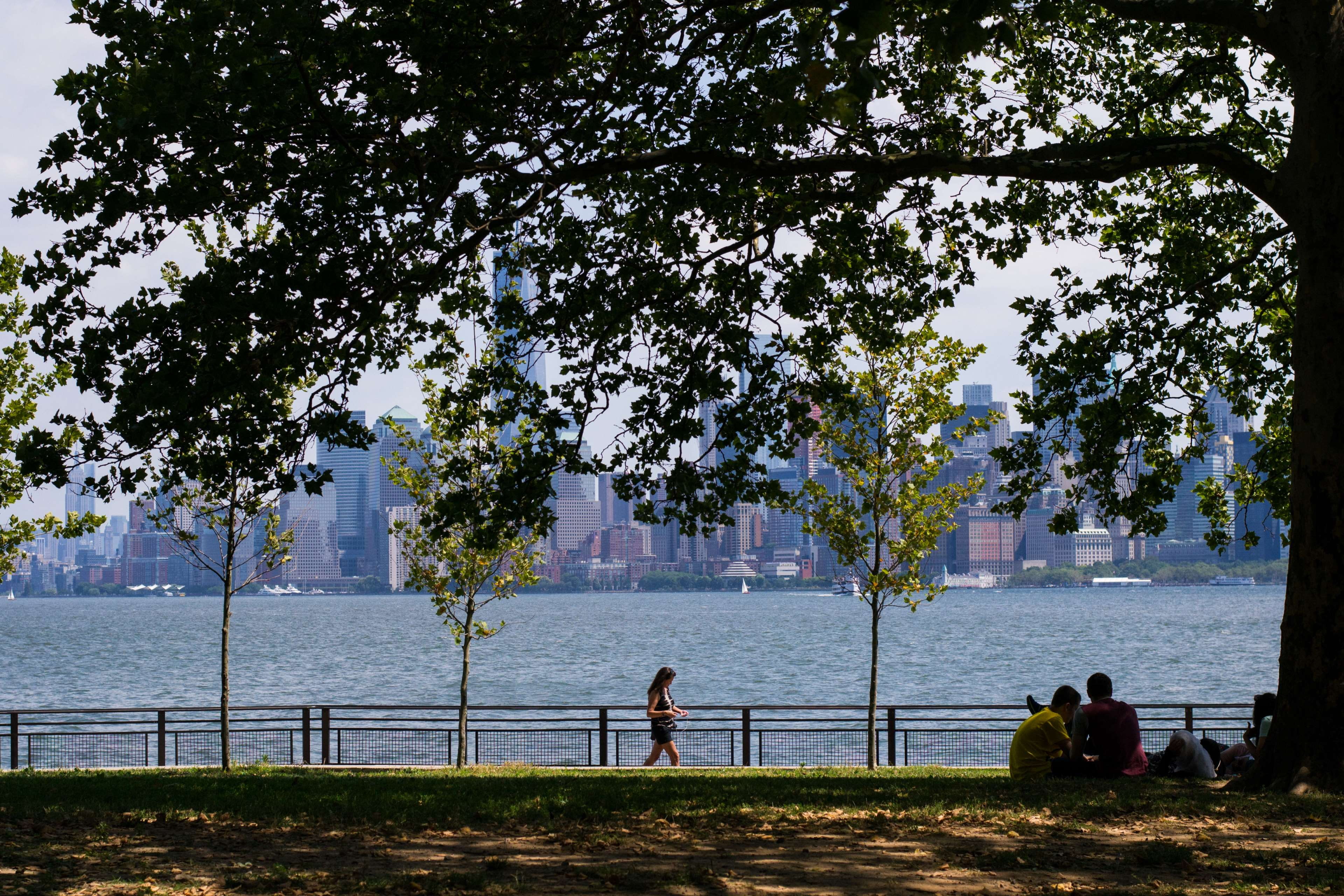 people, real people, manhattan, men, 4K, trip, new york, tourist, railing, adult, leisure activity, growth, day, women, lifestyles, tree, group of people, HD Wallpaper
