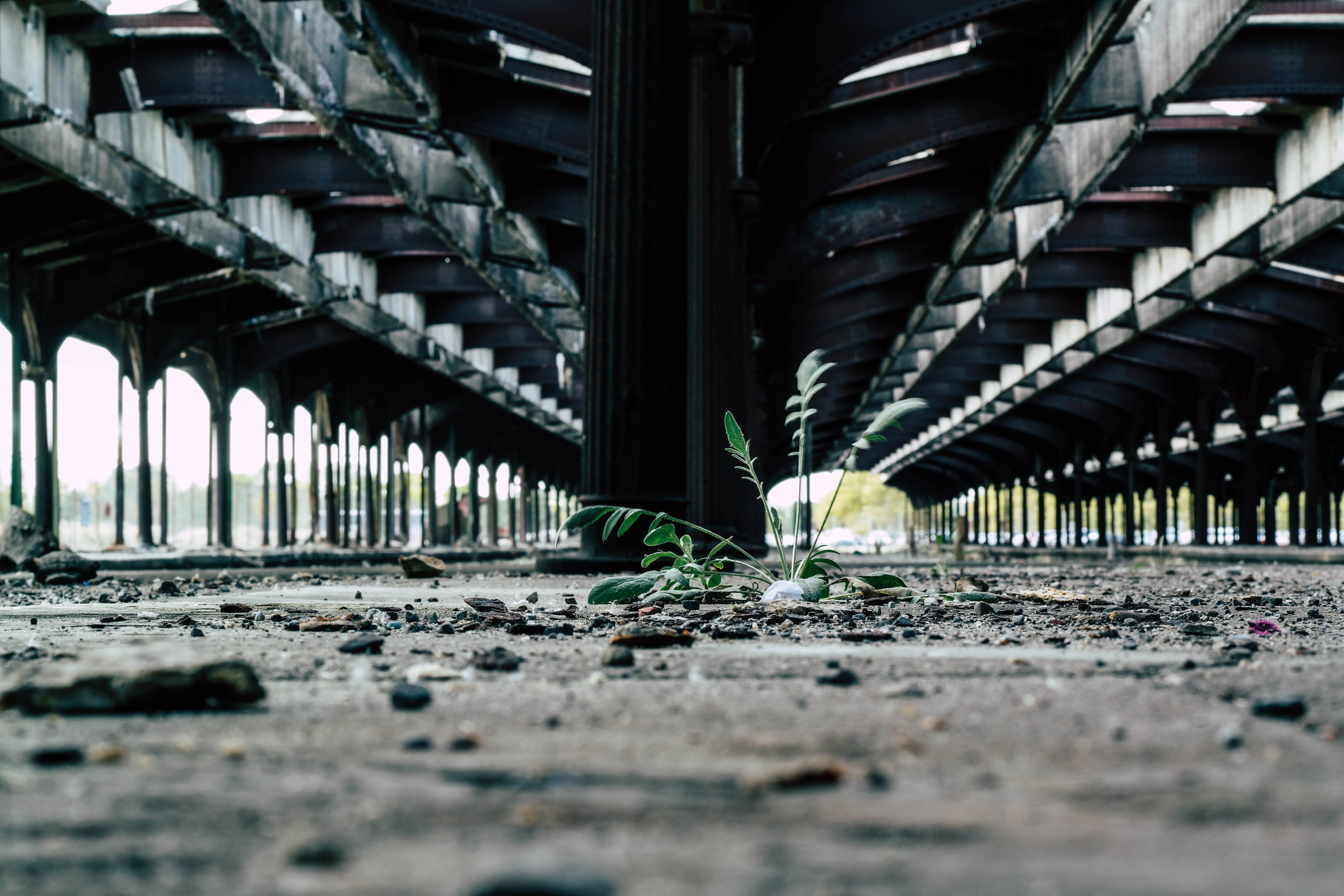 architecture, 5K, connection, in a row, bridge, abandoned, selective focus, growth, transportation, outdoors, liberty state park, day, no people, city, HD Wallpaper