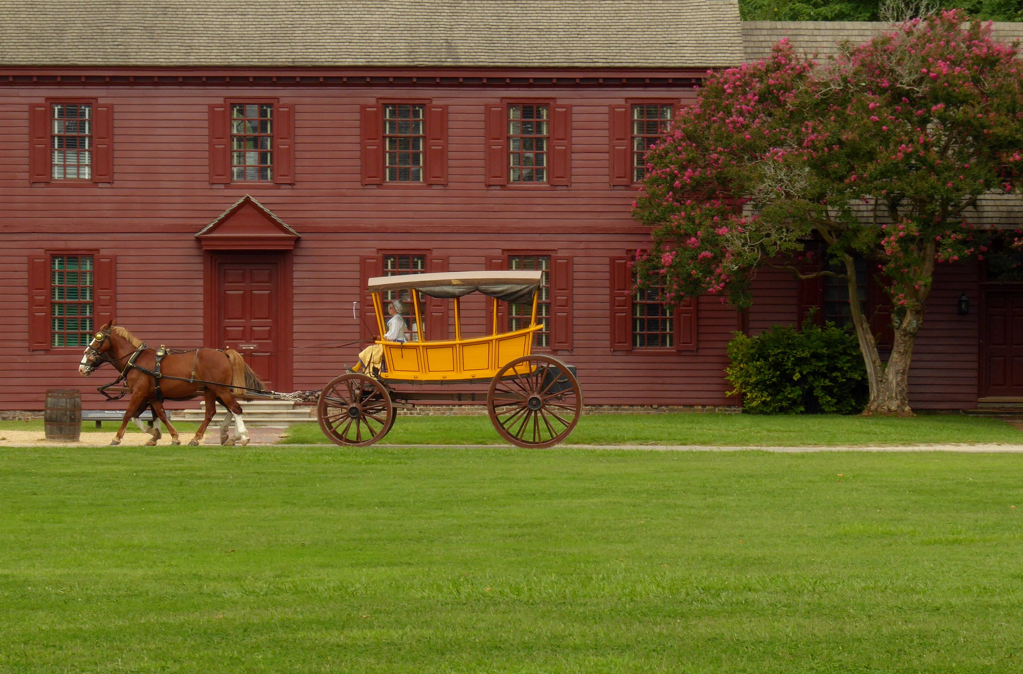 animal, animal themes, building exterior, domestic animals, outdoors, built structure, williamsburg, pets, historical, mode of transportation, wagon, domestic, HD Wallpaper