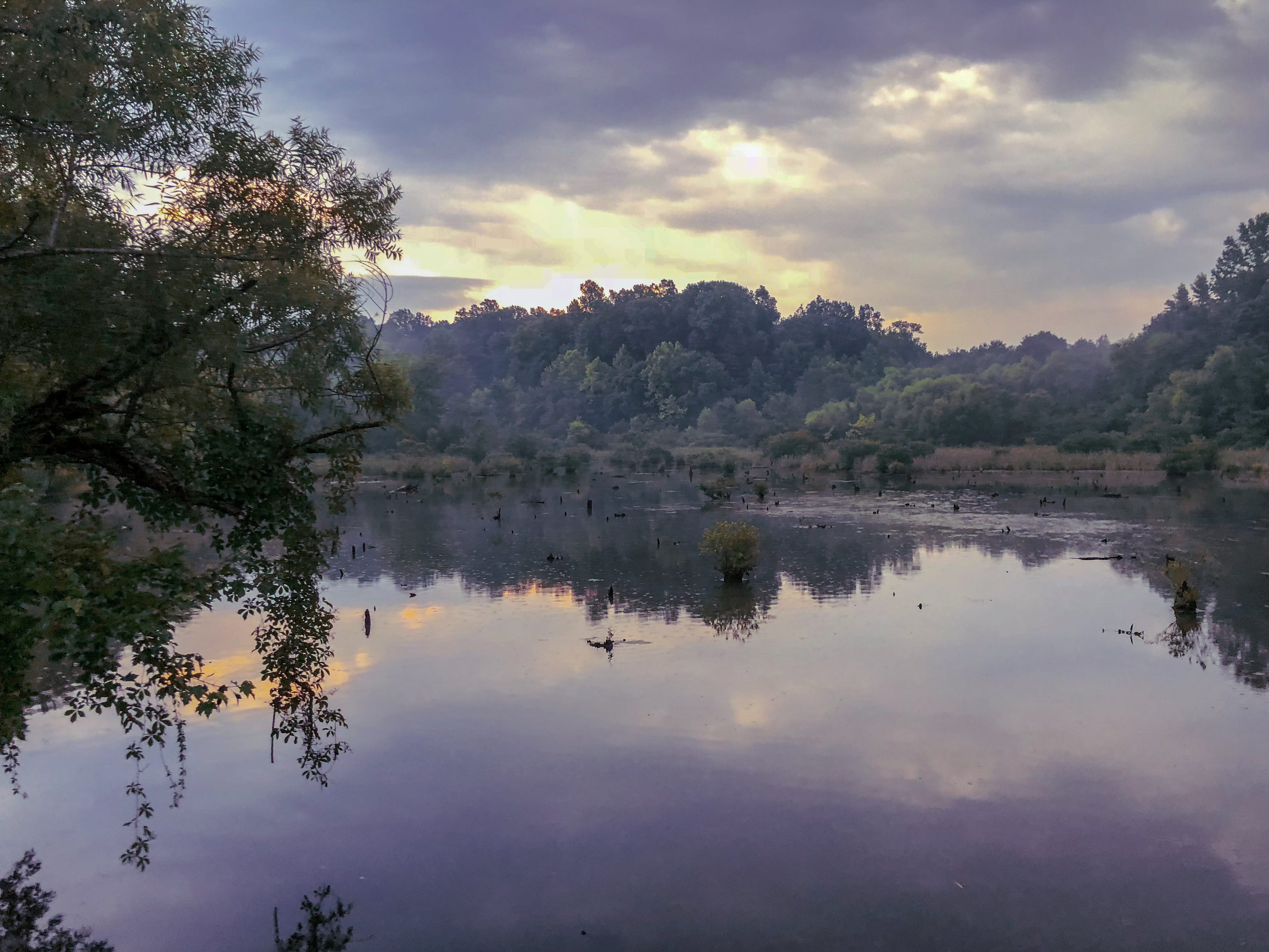 virginia, clouds, tree, scenics - nature, summer, non-urban scene, no people, reflection lake, united states, lake, cloud - sky, hike, beauty in nature, HD Wallpaper