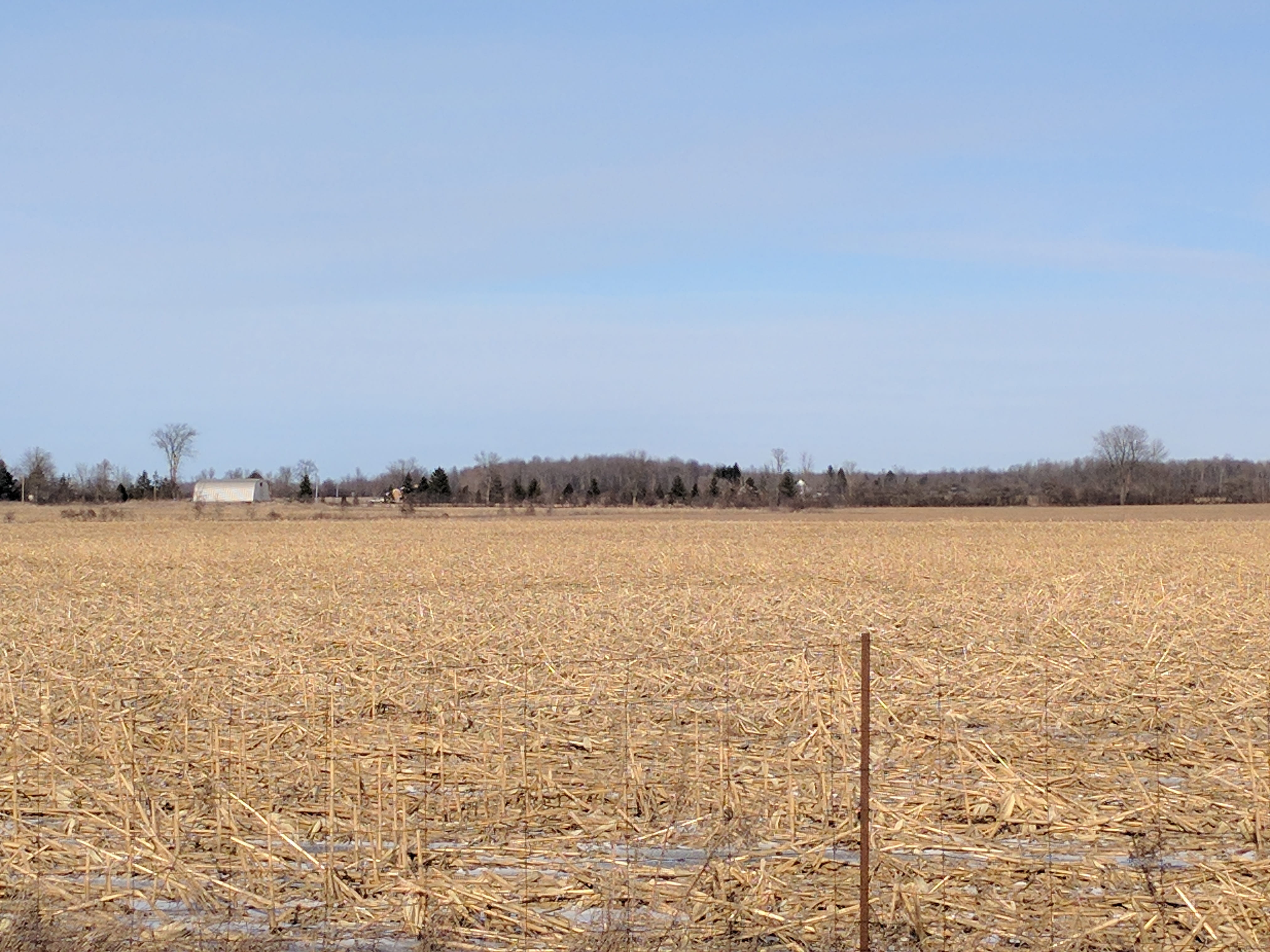 field, sky, rural scene, environment, outdoors, no people, canada, land, growth, crop, copy space, tranquil scene, nature, farmland, plantation, agriculture, HD Wallpaper