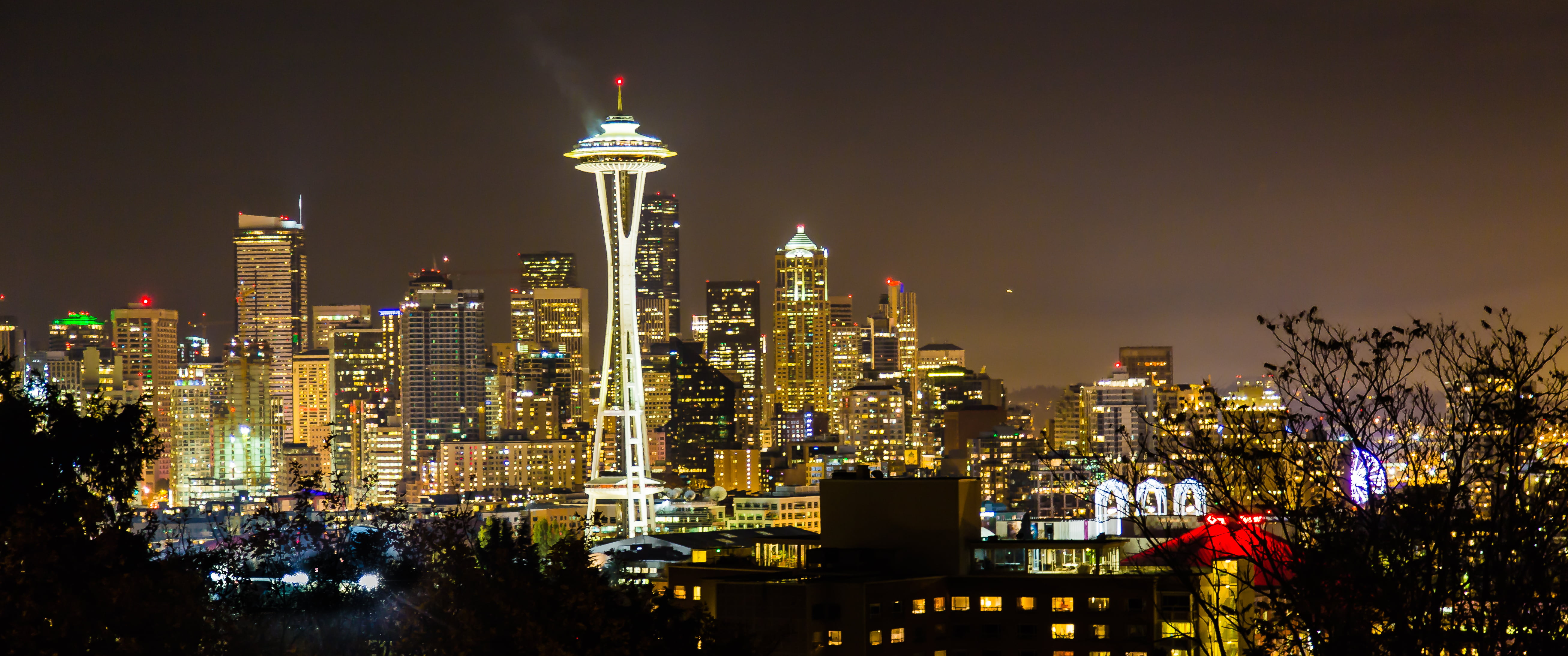space needle, Park  top, downtown District, uSA, Nov, needle, 5K, architecture, photo, flickr, urban Skyline, famous Place, skyscraper, night, Motivational, HD Wallpaper