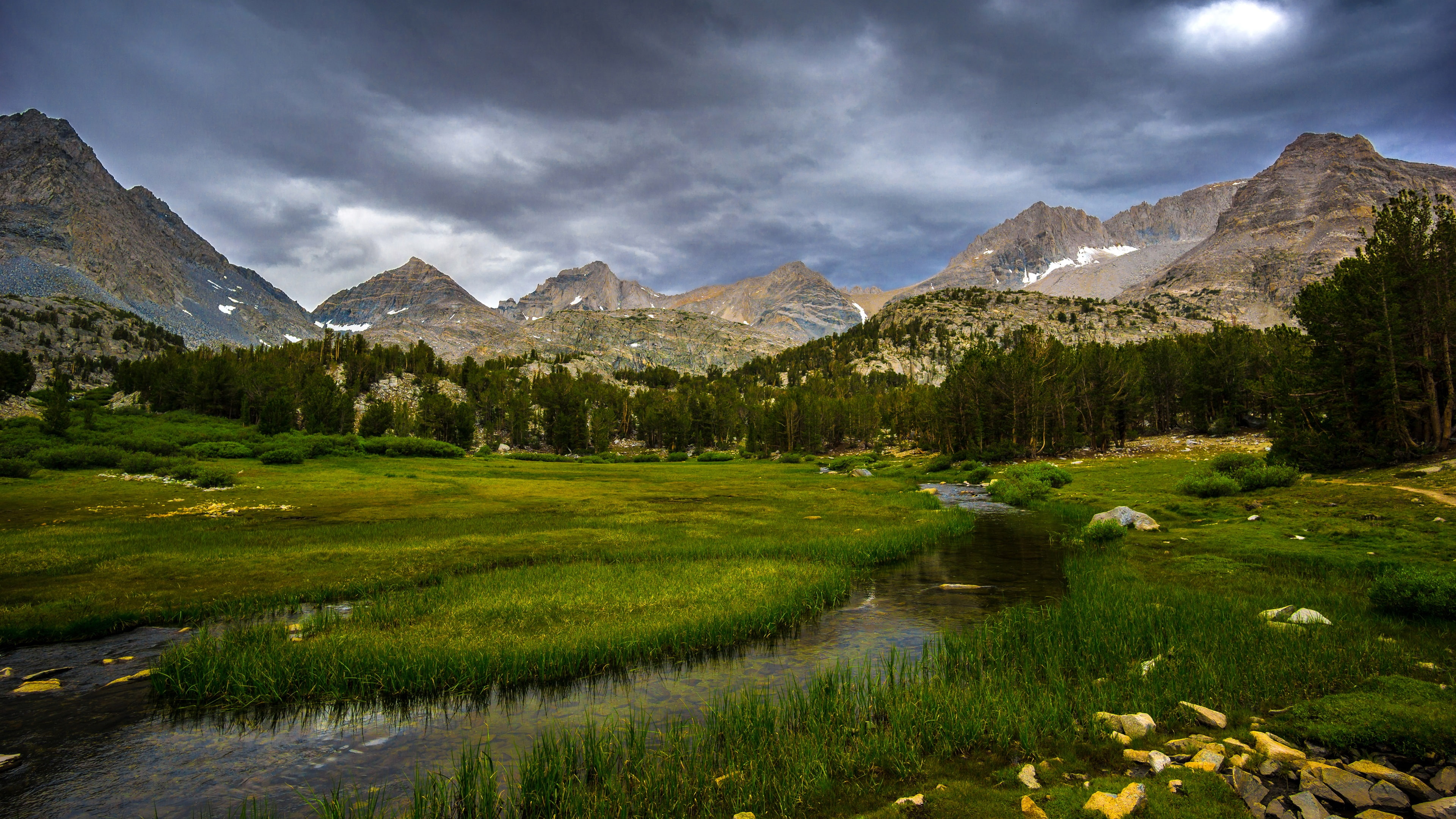 Mountains, National, 4K, Grass, Trees, Inyo, Forest, Clouds, California, USA, HD Wallpaper