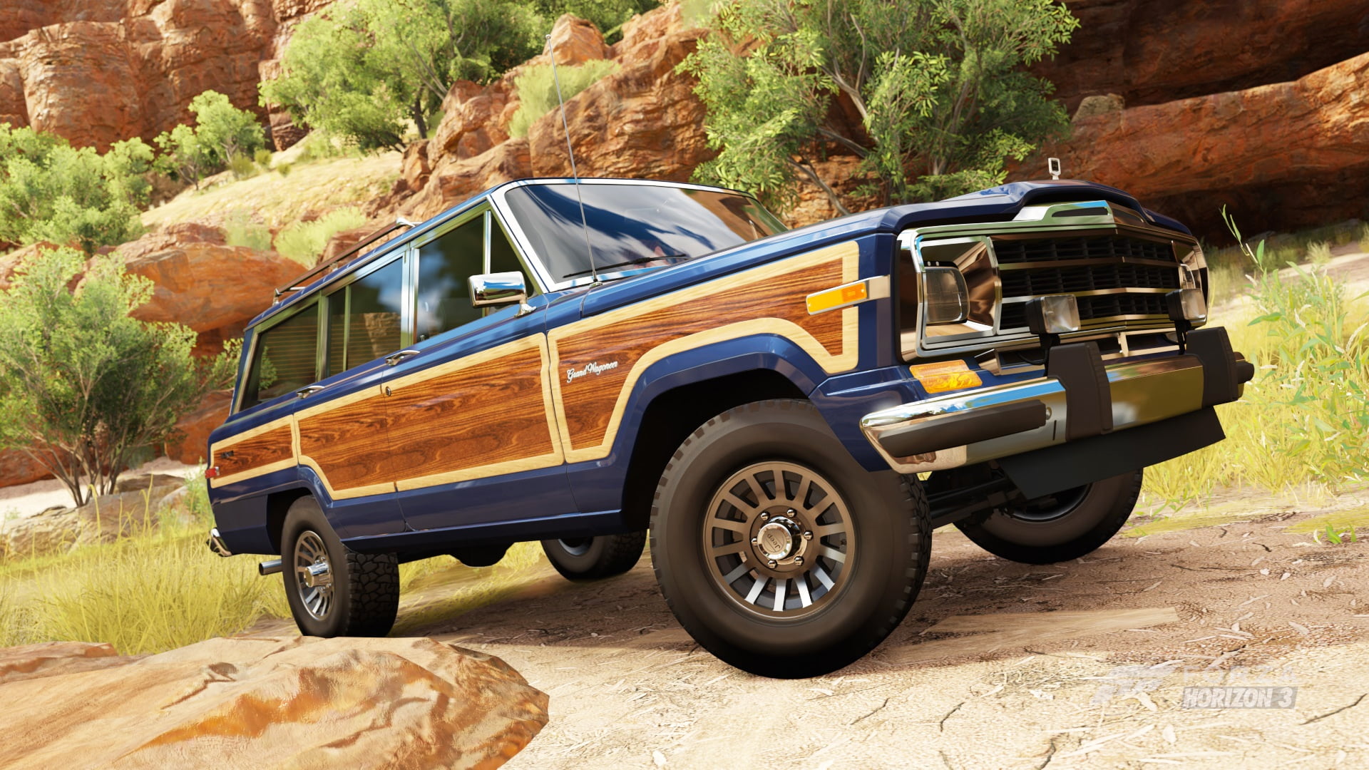 1991 Jeep Grand Wagoneer, Jeep, motor vehicle, day, Grand, stationary, plant, Car, rock, tree, mountain, nature, off-road vehicle, no people, land, pick-up truck, HD Wallpaper