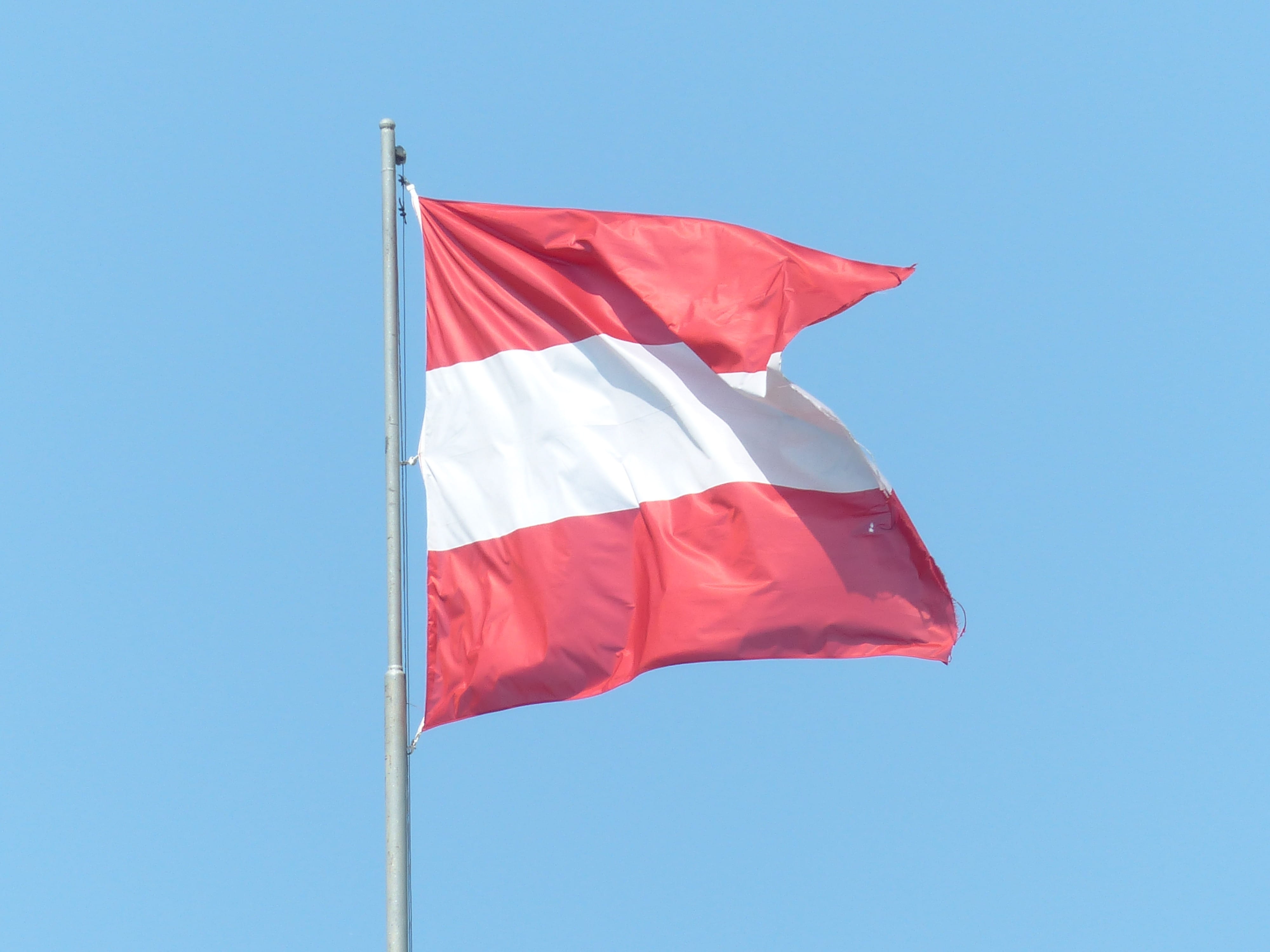 nature, national colours, clear sky, Flutter, low angle view, environment, outdoors, red, emotion, copy space, Blow, waving, White, pole, day, Austria, HD Wallpaper