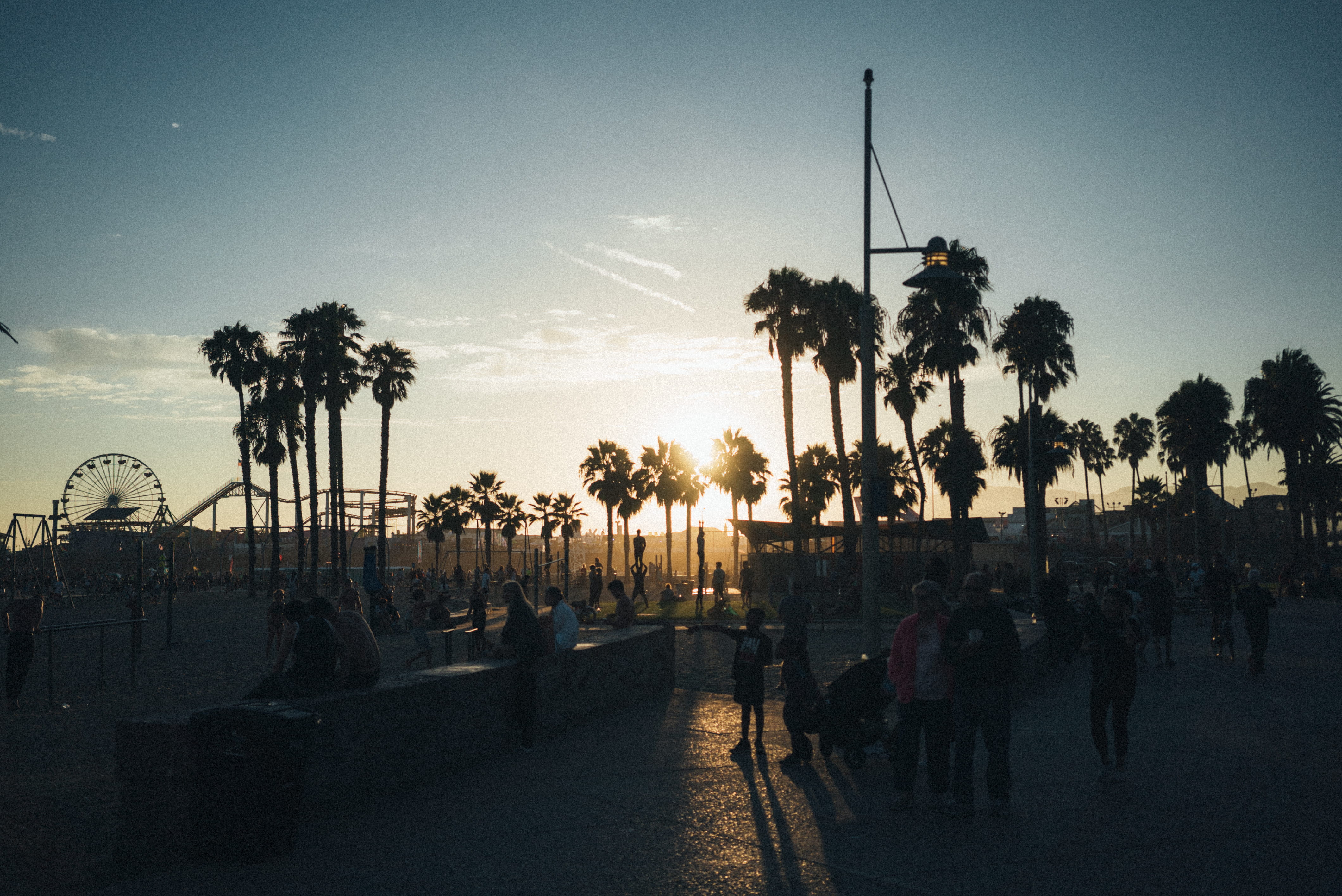 tree, large group of people, america, pier, leisure activity, palm tree, built structure, nature, silhouette, tropical climate, architecture, handstand, HD Wallpaper