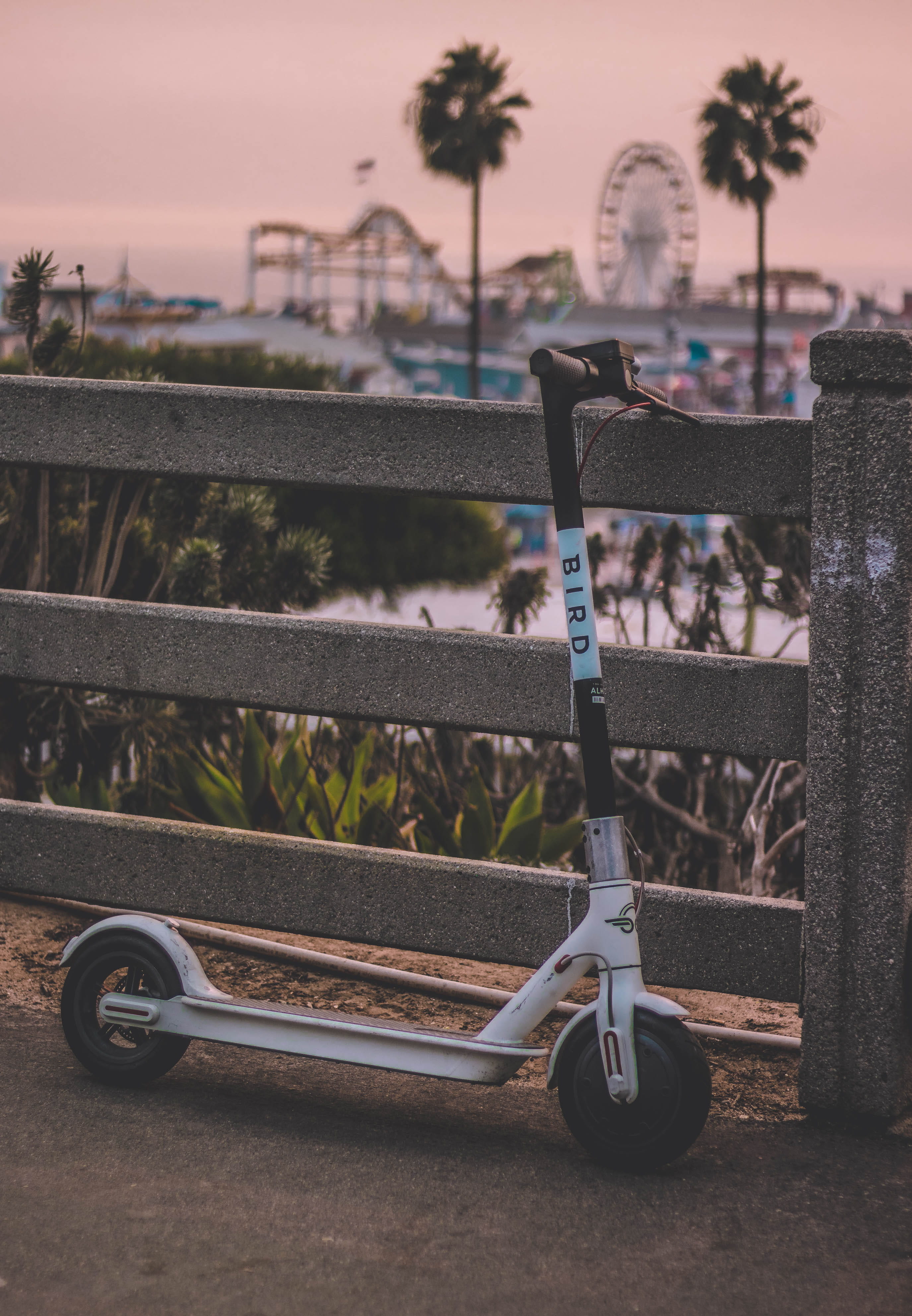 outdoors, palm tree, no people, metal, ride, 4K, sport, absence, sports equipment, park, bird, parked, plant, pacific ocean, machine, santa monica, vehicle, Phone HD Wallpaper