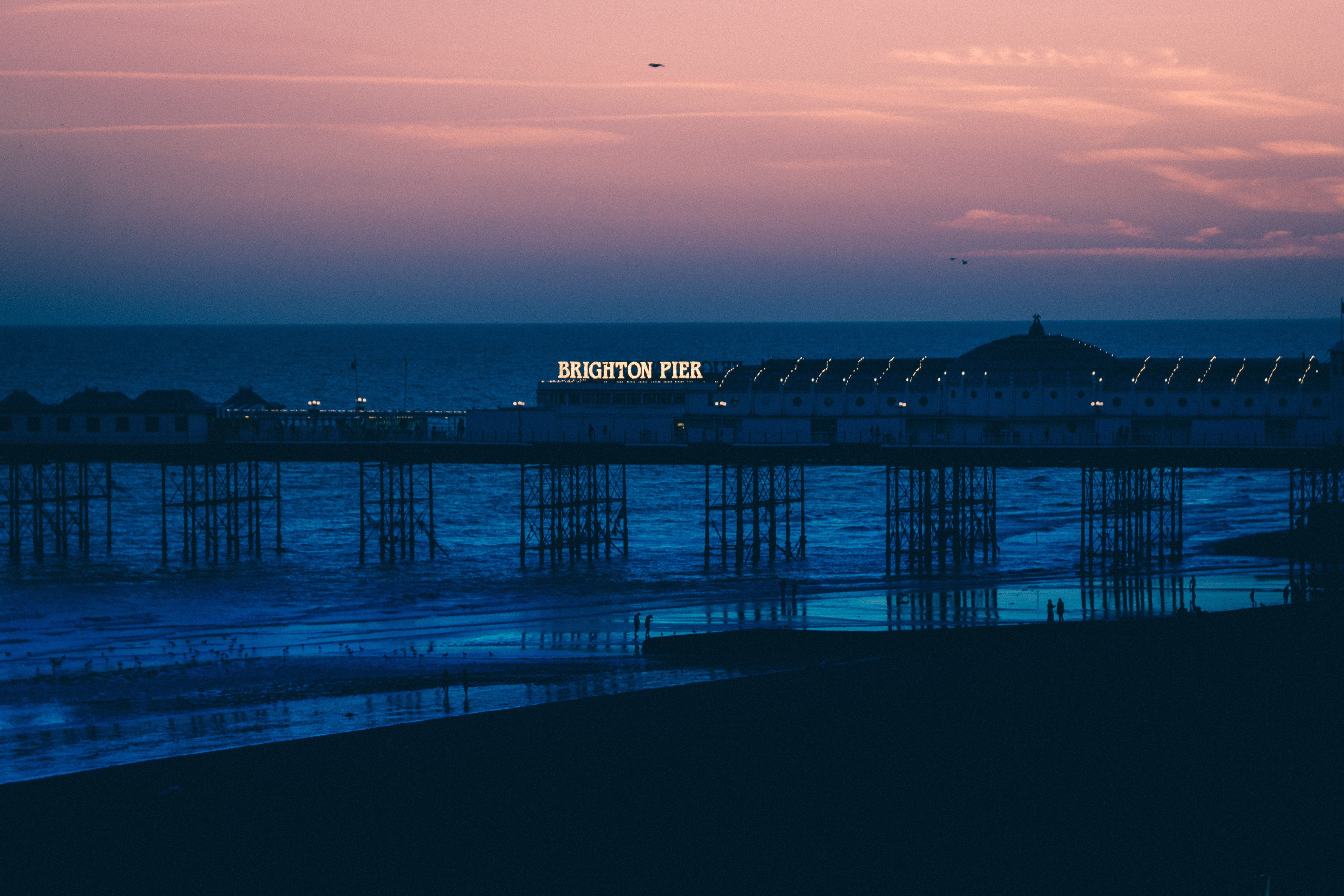 nature, pier, summer, sunlight, brighton, beauty in nature, scenics, coastline, night, cloud - sky, outdoors, architecture, sea, water, built Structure, HD Wallpaper