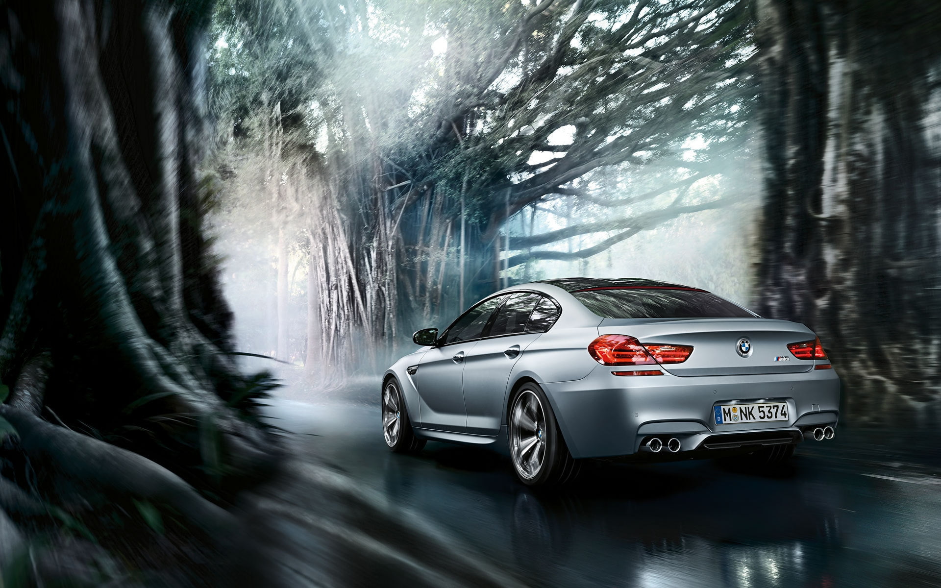 BMW M6, forest, gorgeous, m, bmw, coupe, 1080P, gran, limousine, HD Wallpaper