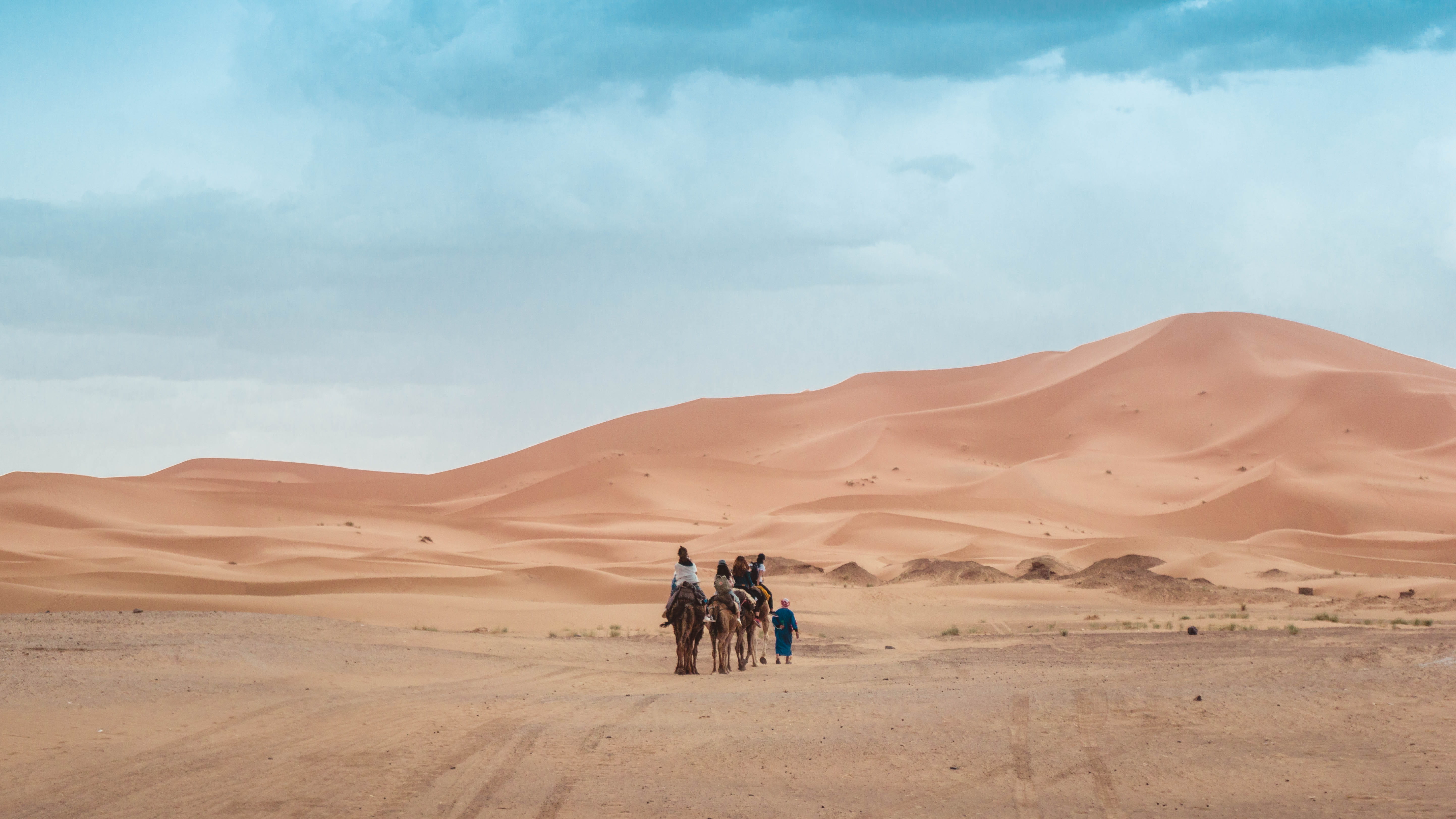 beauty in nature, land, heat, desert, arid climate, sandy, mammal, riding, across, sky, cloud - sky, sand dune, domestic animals, sahara, dune, scenics - nature, HD Wallpaper