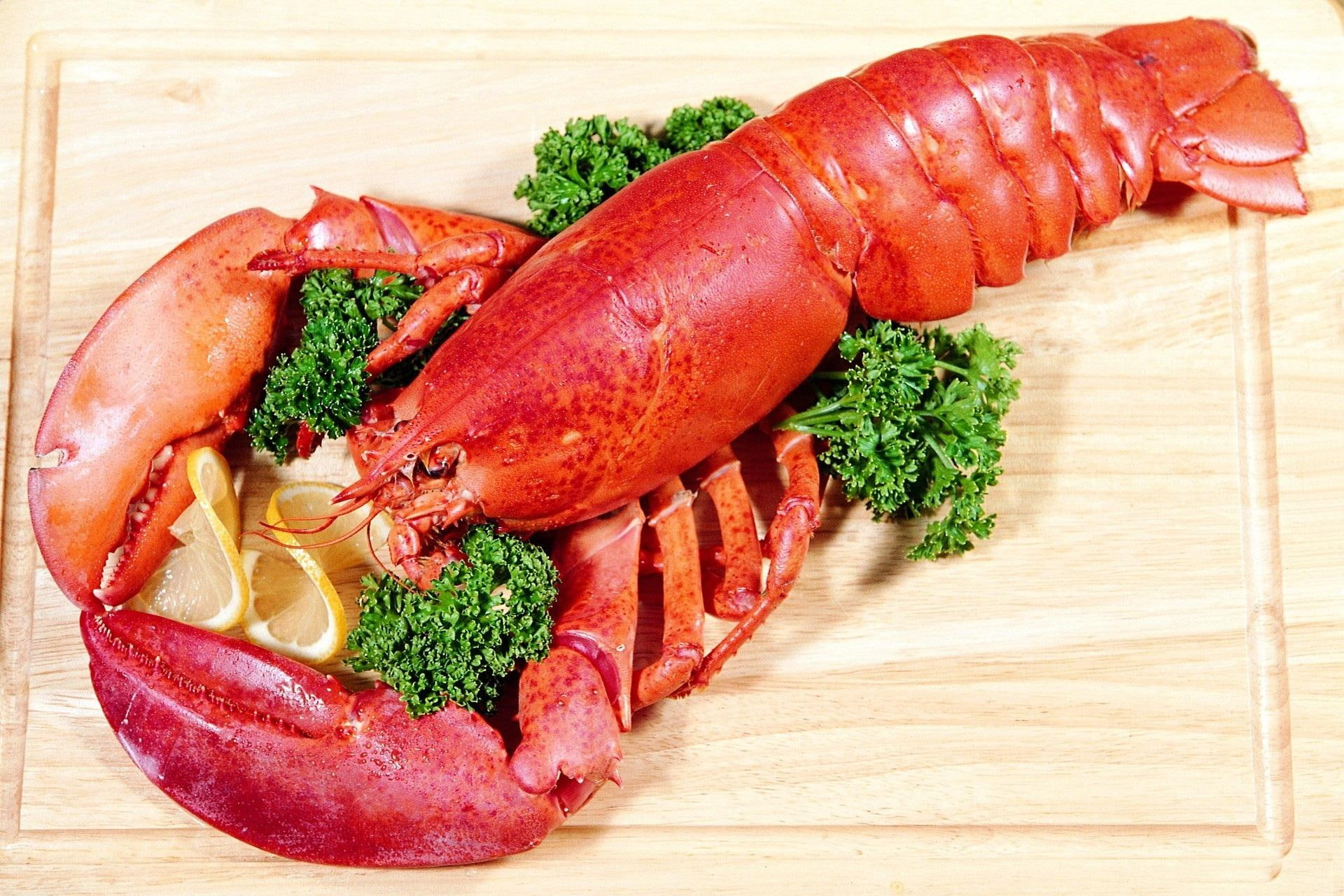 lobster, color, pink, 1080P, food, 3d and abstract, HD Wallpaper
